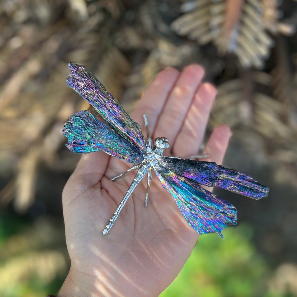 Dragon Fly ~ Rainbow Kyanite Electroplate