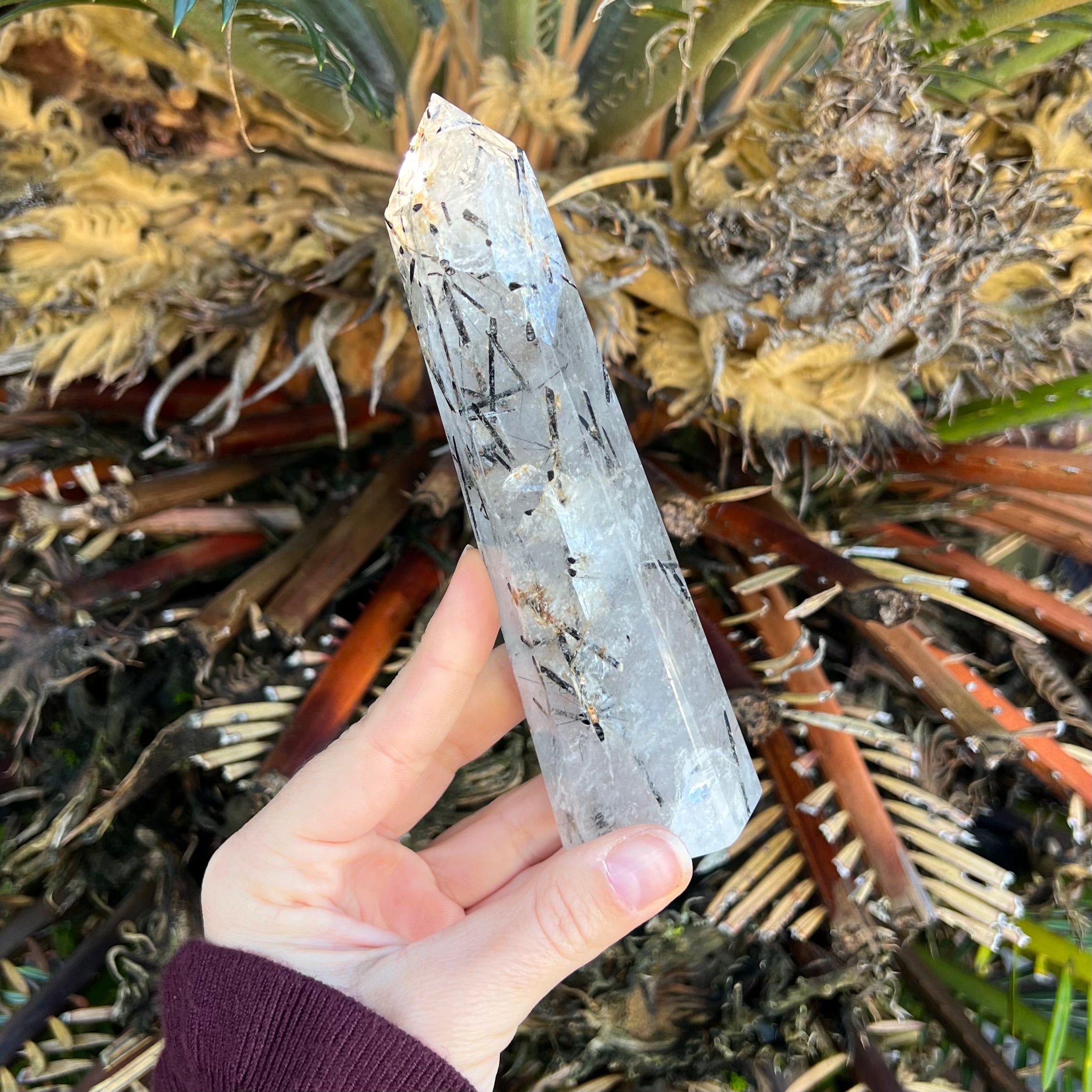 Black Tourmaline in Clear Protective Generator Quartz Tower