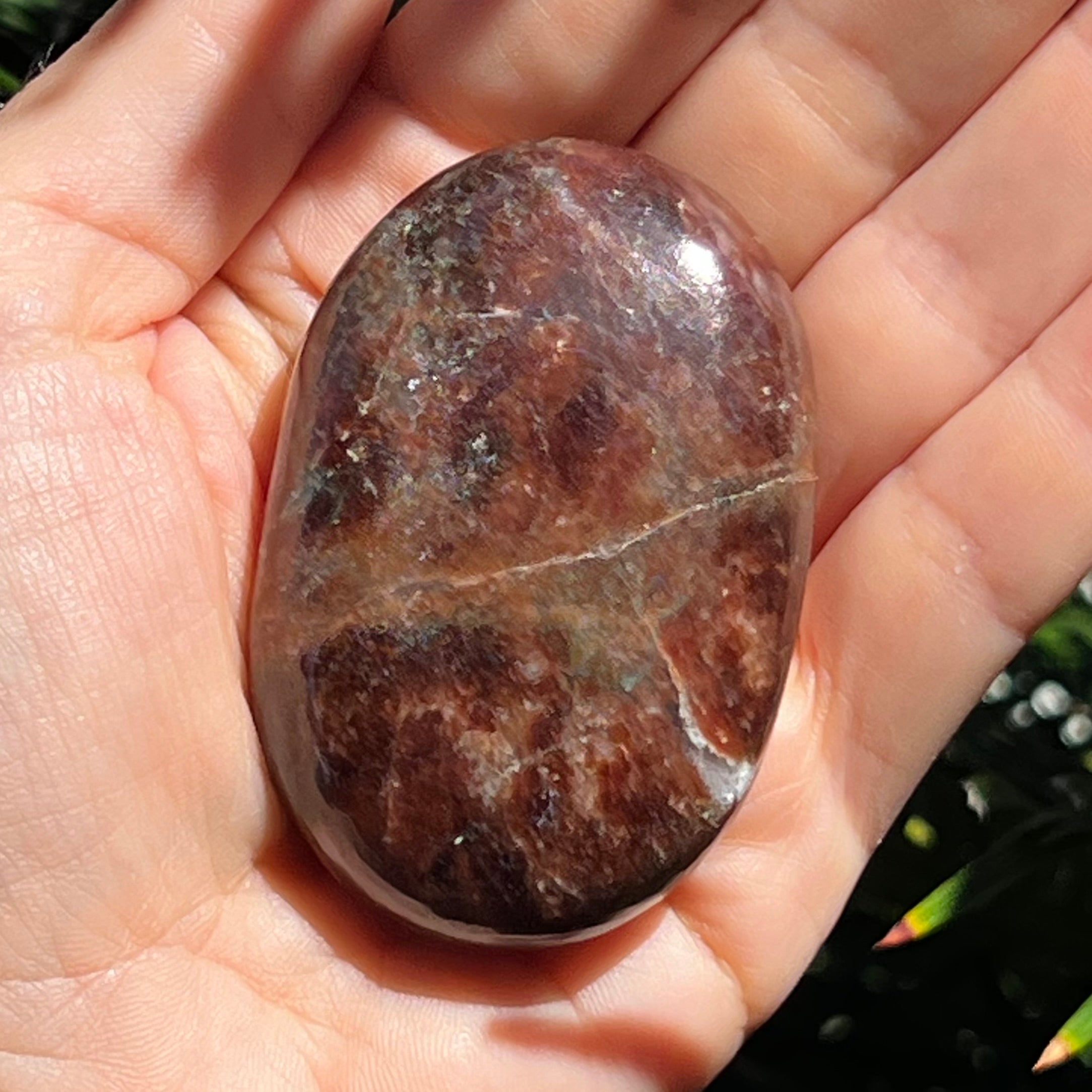 Garnet Palm Stone ~ 1