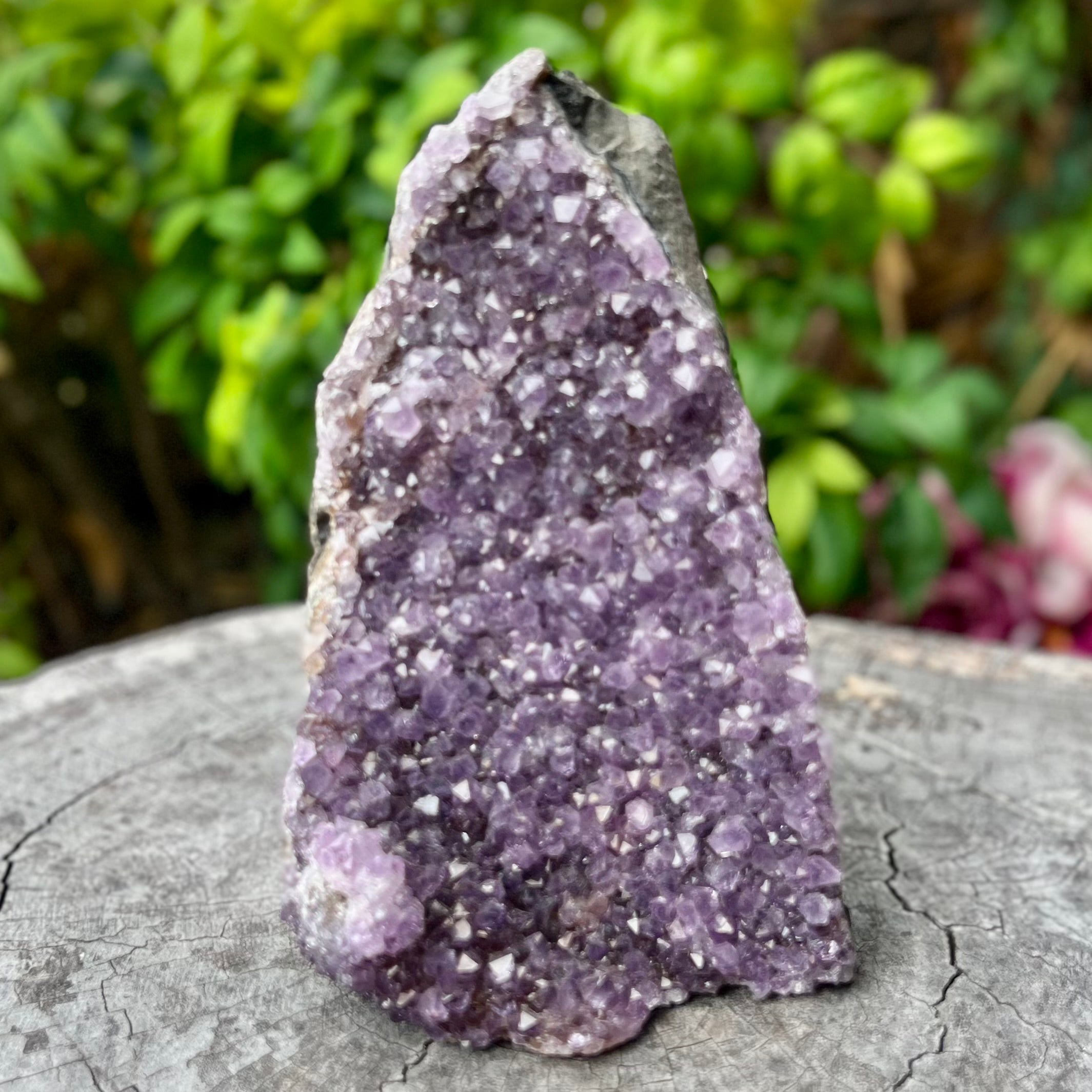 Amethyst Cluster