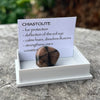 Chiastolite ~ Specialty Boxed Crystal