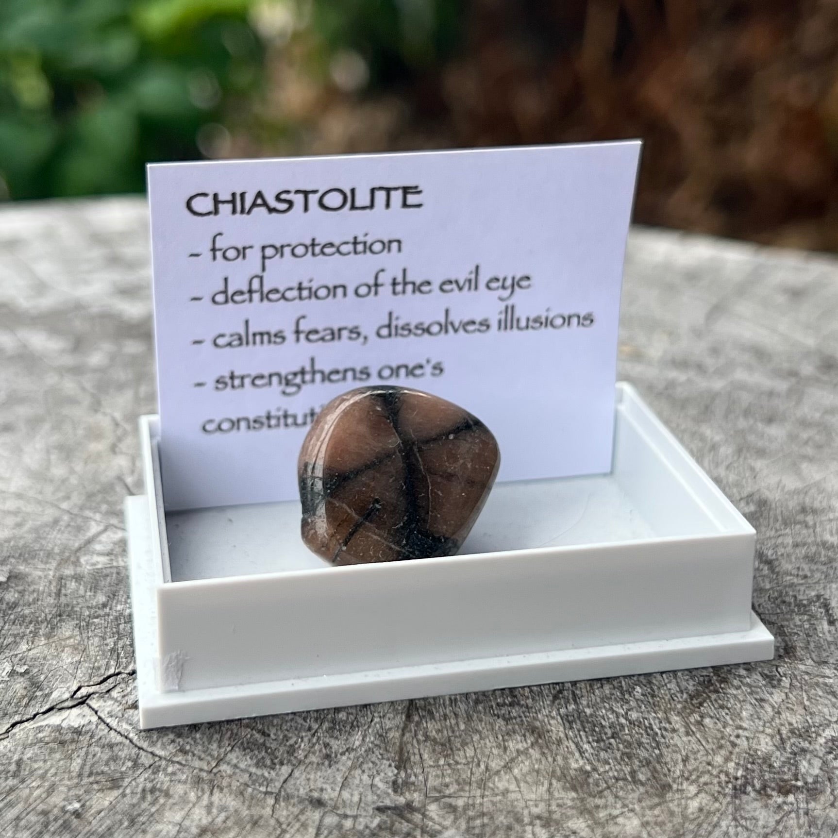 Chiastolite ~ Specialty Boxed Crystal