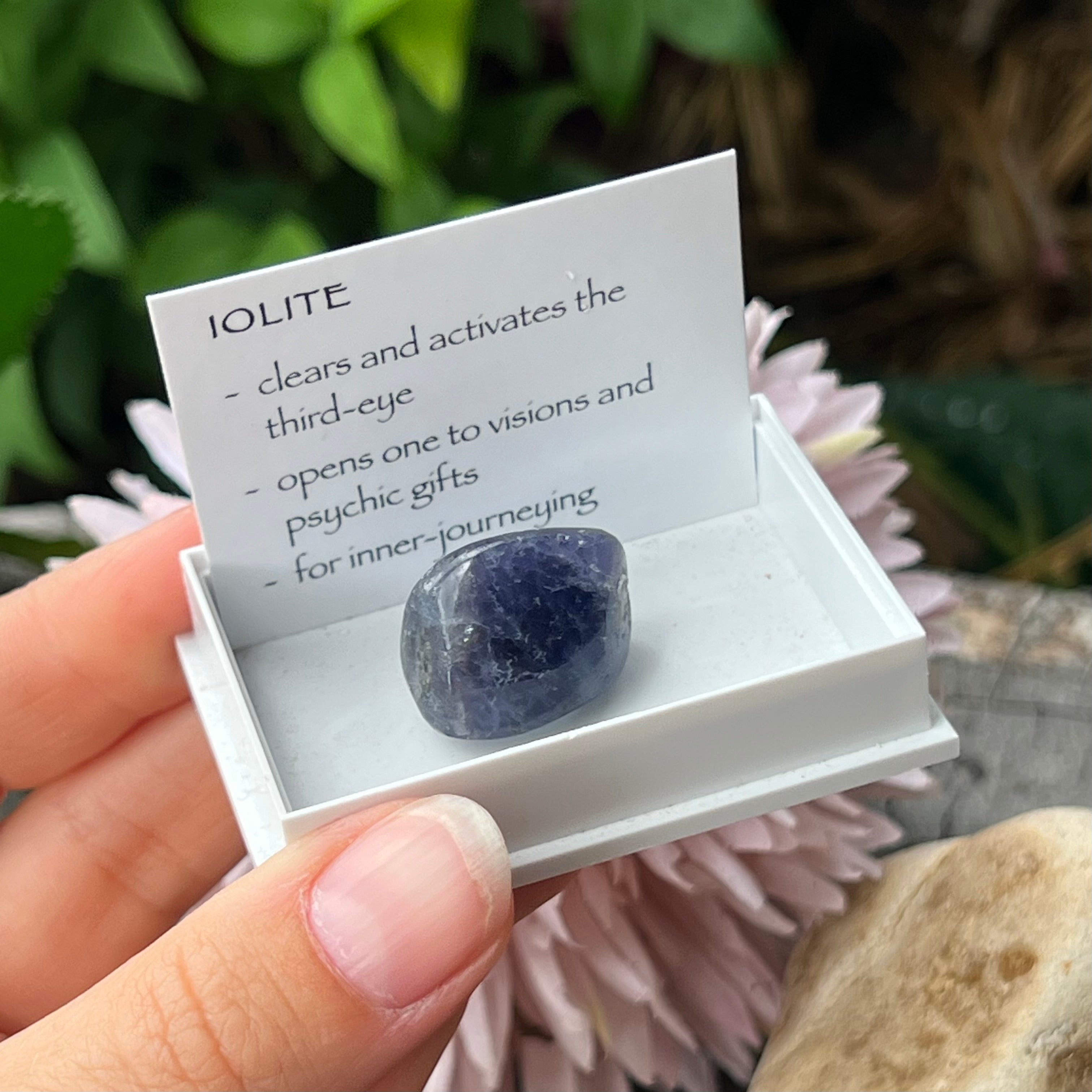 Iolite Specimen ~ Specialty Boxed Crystal