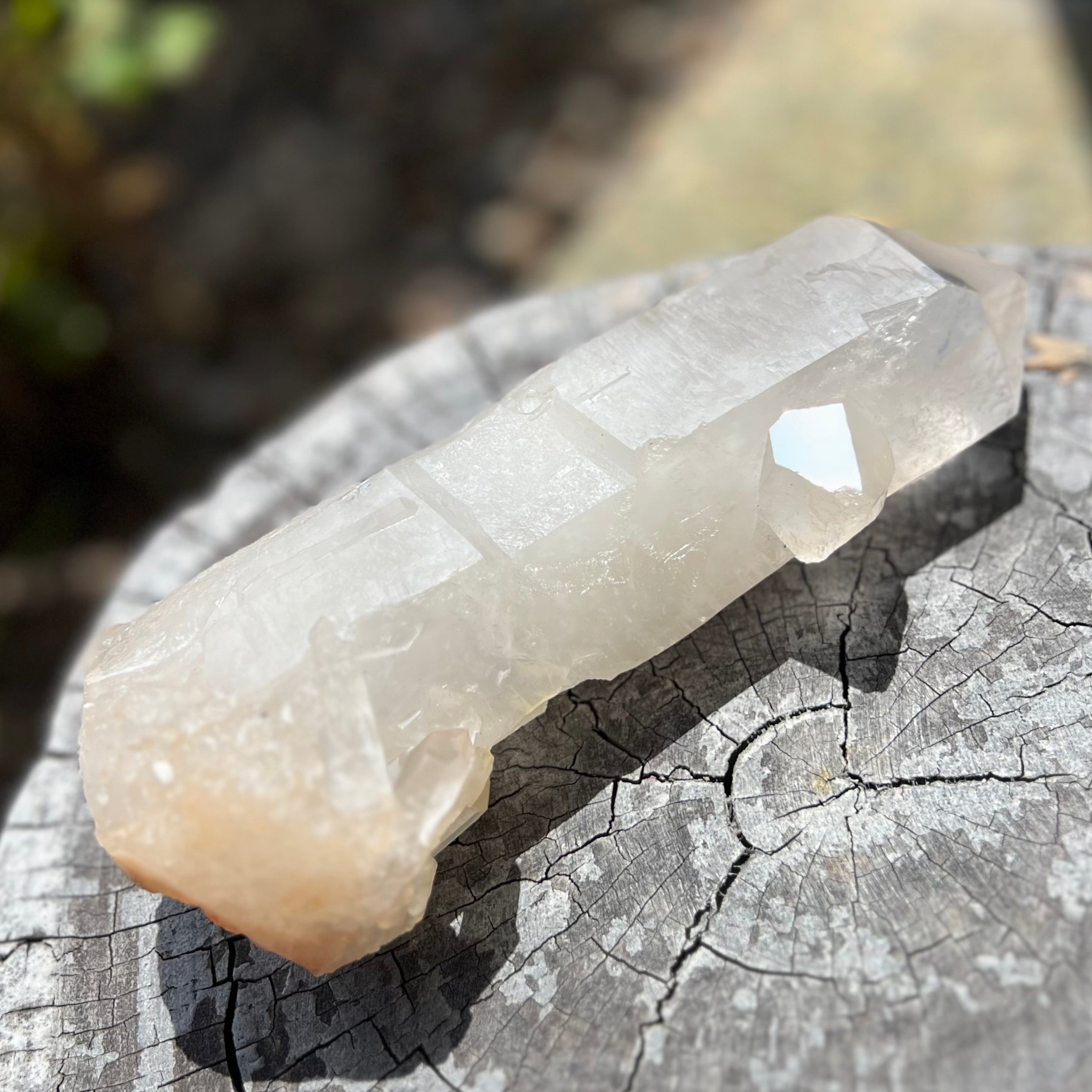 Lemurian Point Specimen