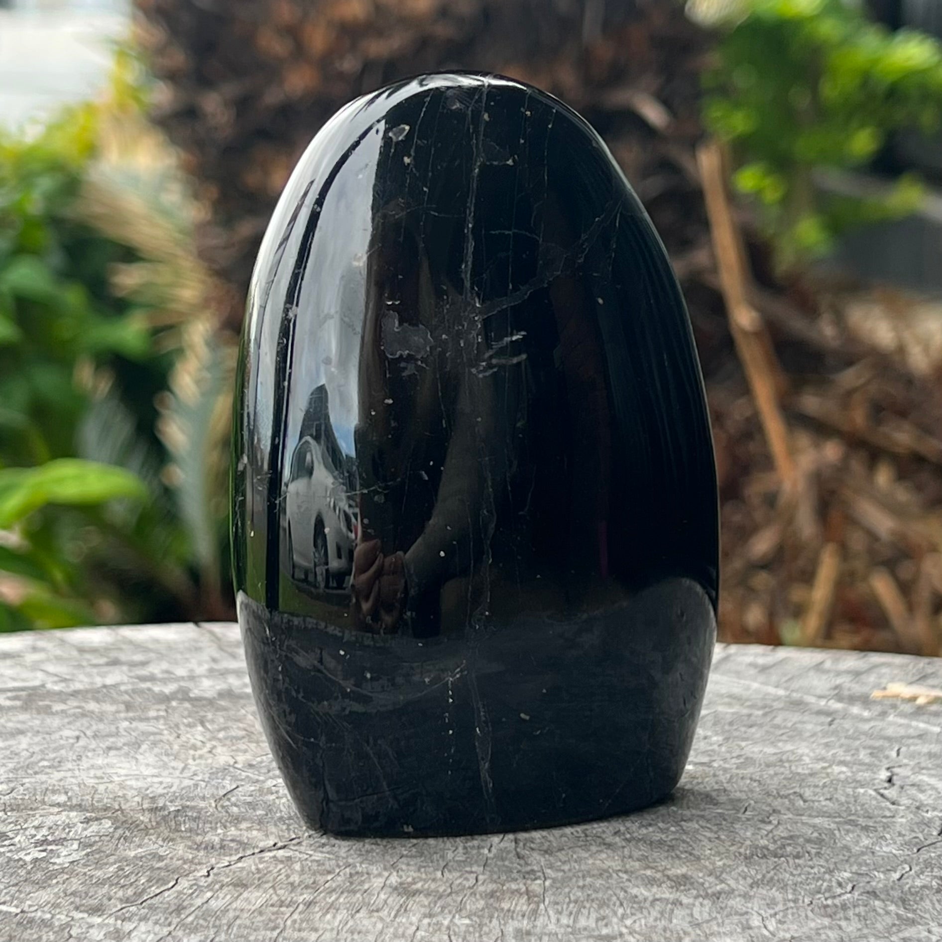 Black Tourmaline Freeform ~ 2