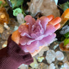 Blooming Flower ~ Lepidolite