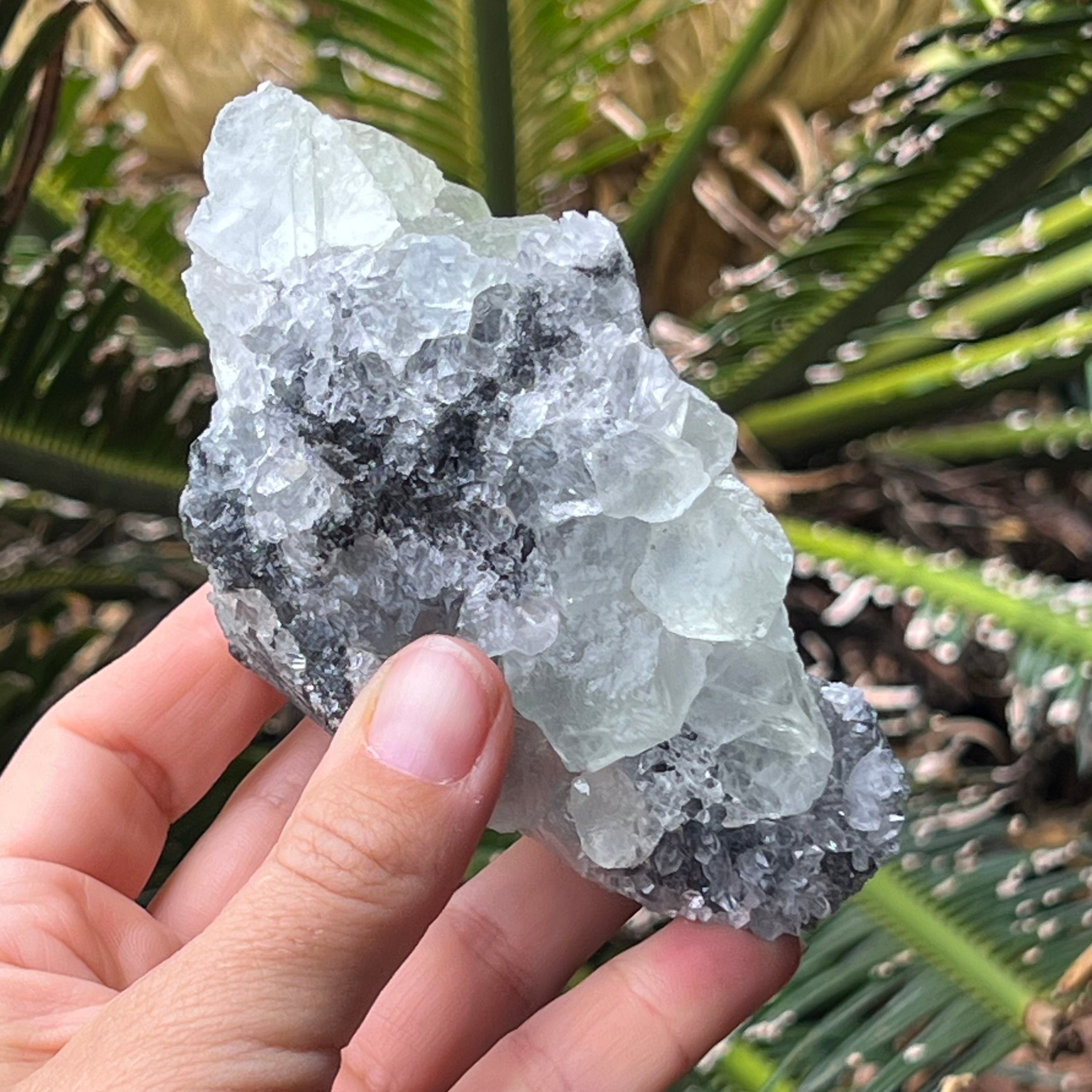 Natural Green Apophyllite