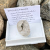 Witches Finger ~ Specialty Boxed Crystal