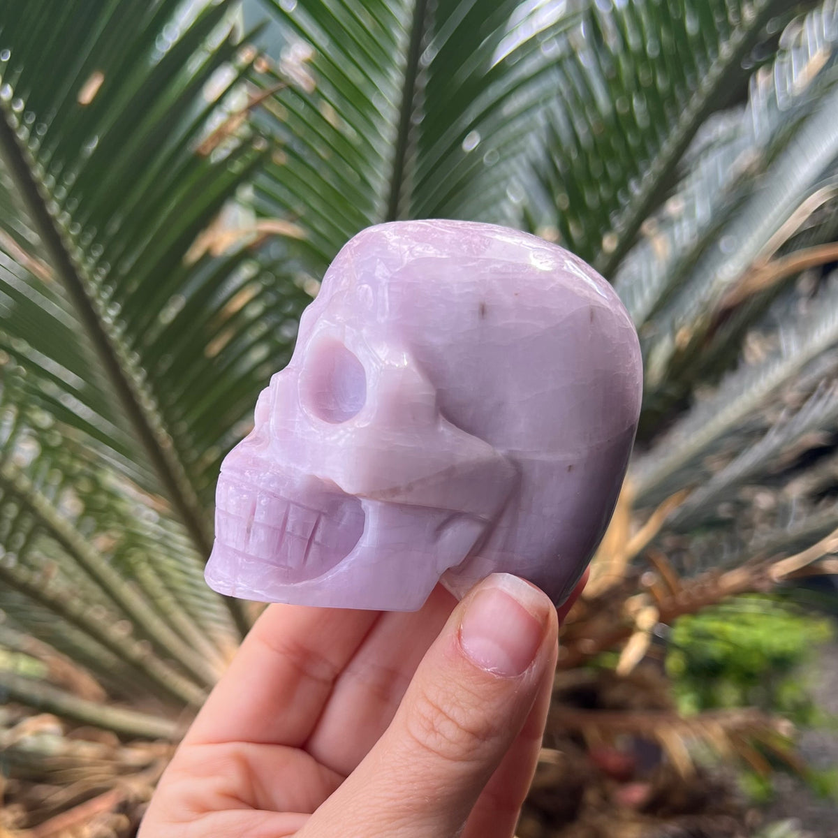 Kunzite Skull ~ Specialty Crystal Carving
