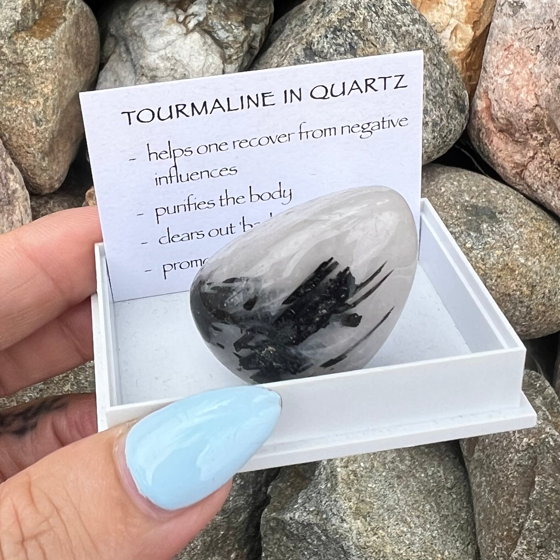 Black Tourmaline in Quartz ~ Specialty Boxed Crystal