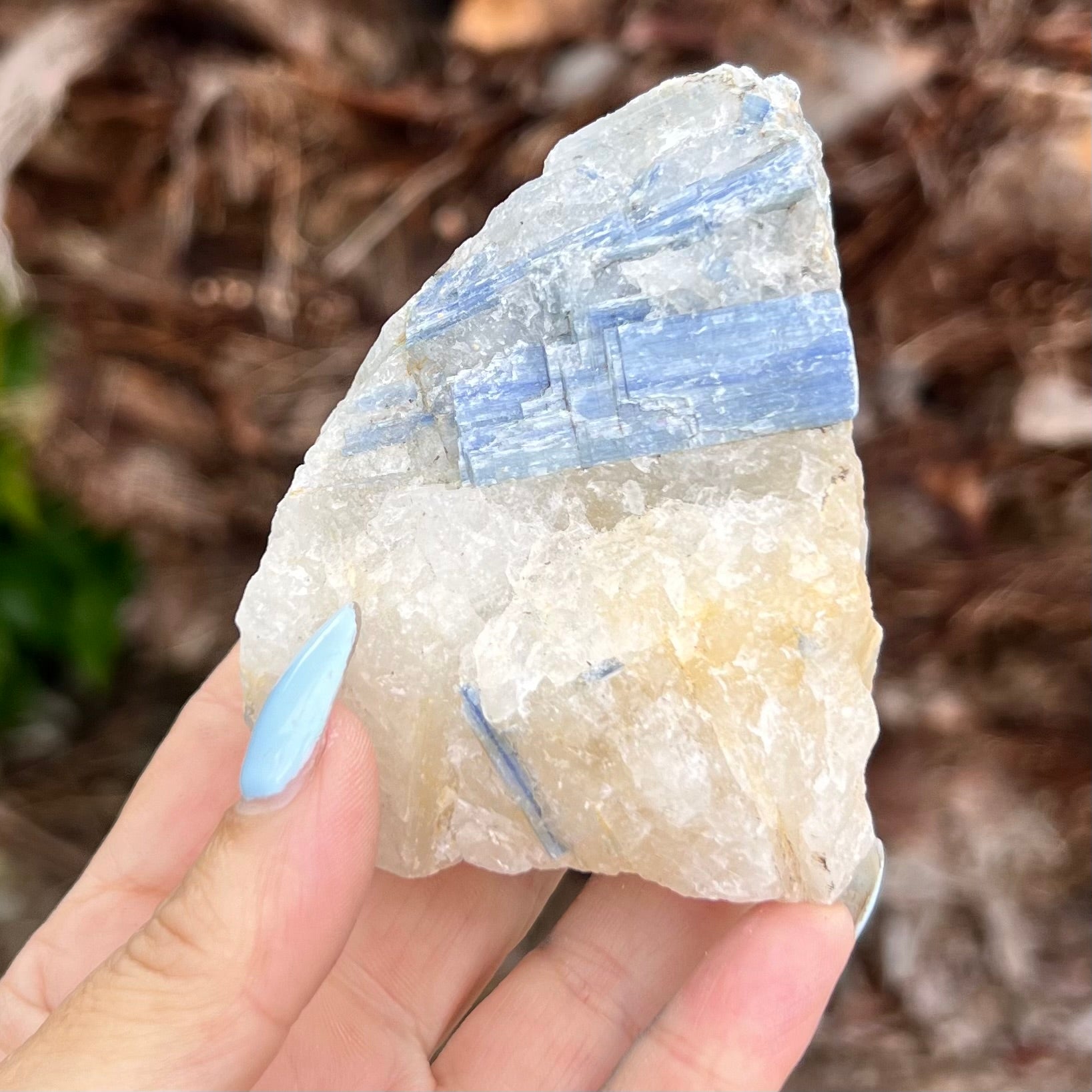 Natural Blue Kyanite in Quartz