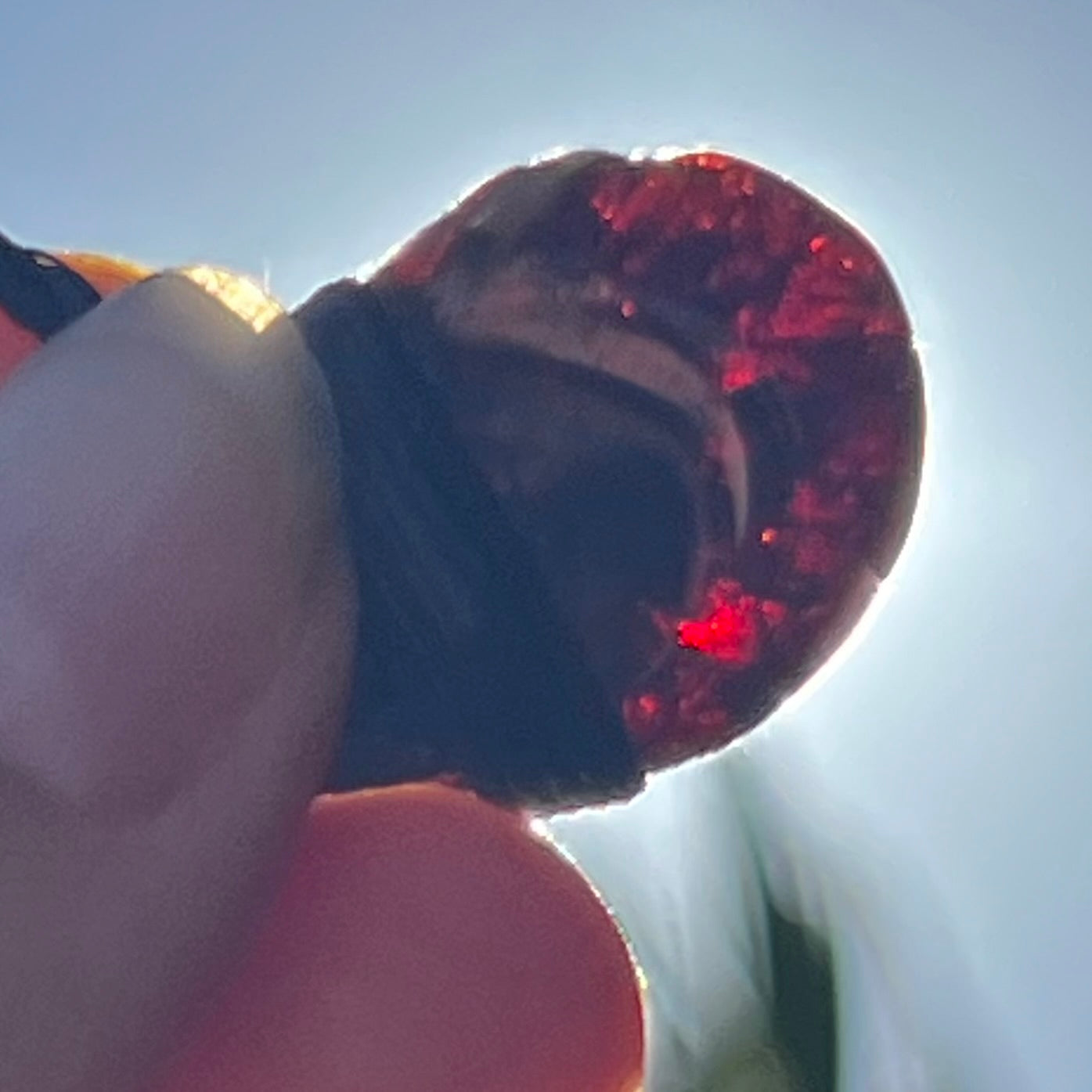 Muse Medicine  ~ Garnet ~ Talisman