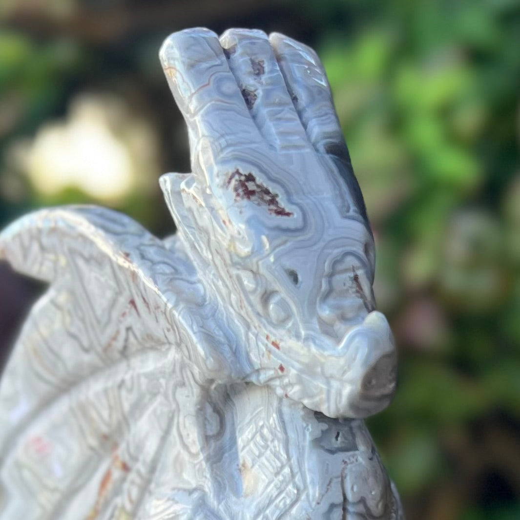 Crazy Lace Agate Dragon Carving