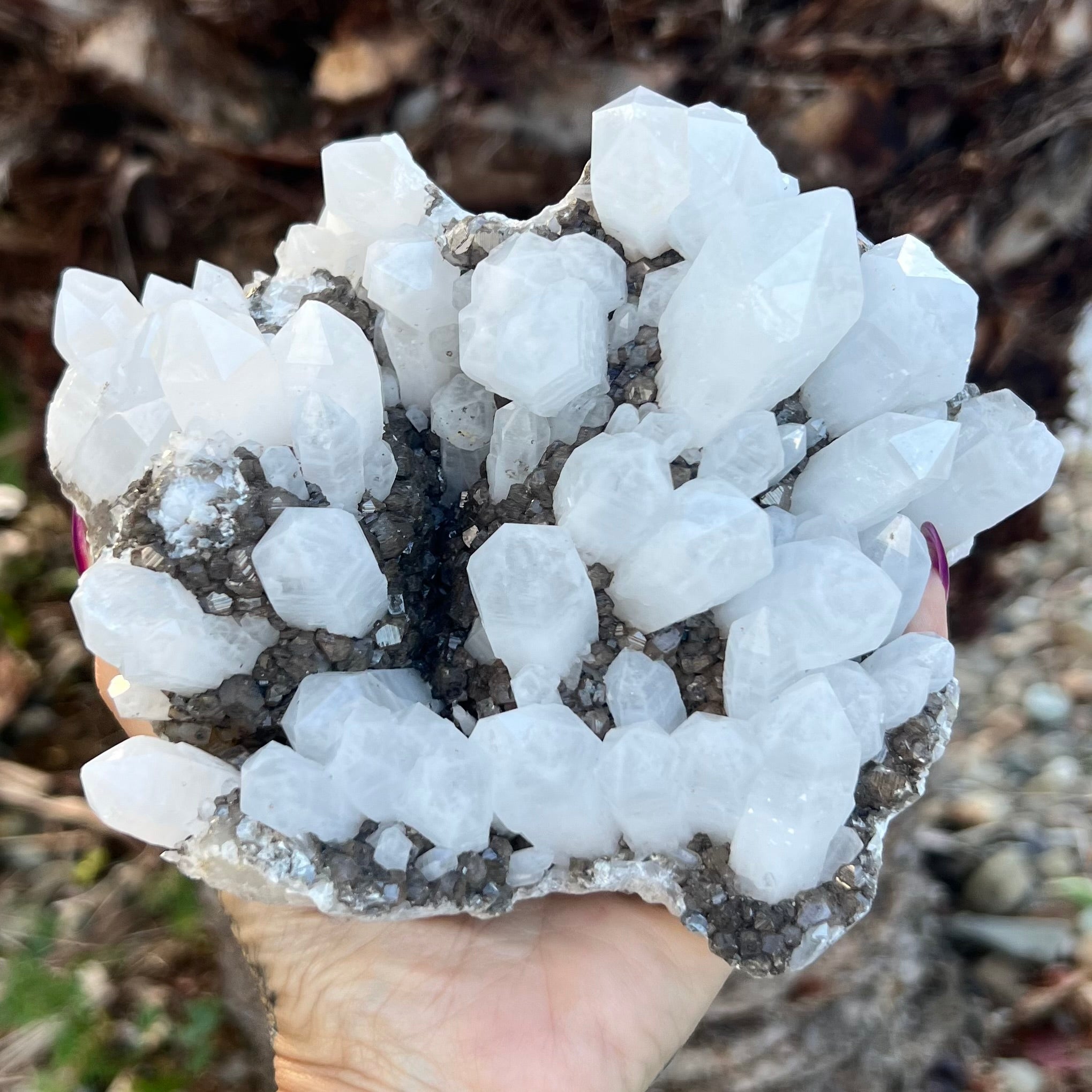 Clear & Smoky Quartz Natural Raw Cluster