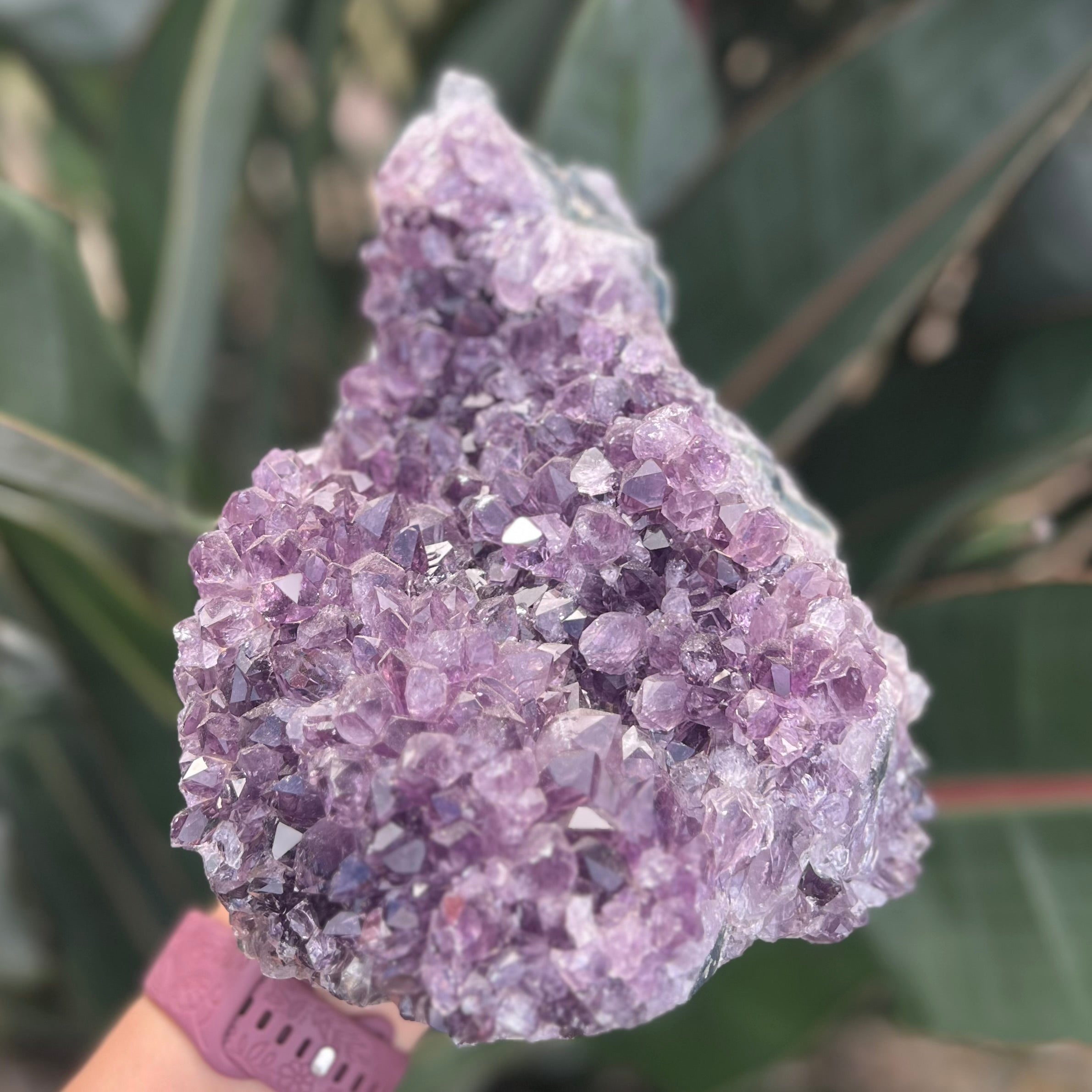 Amethyst Cluster