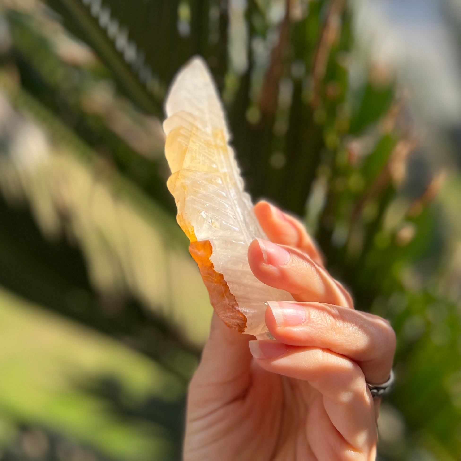 Feather of Divine Healing ~ Golden Healer