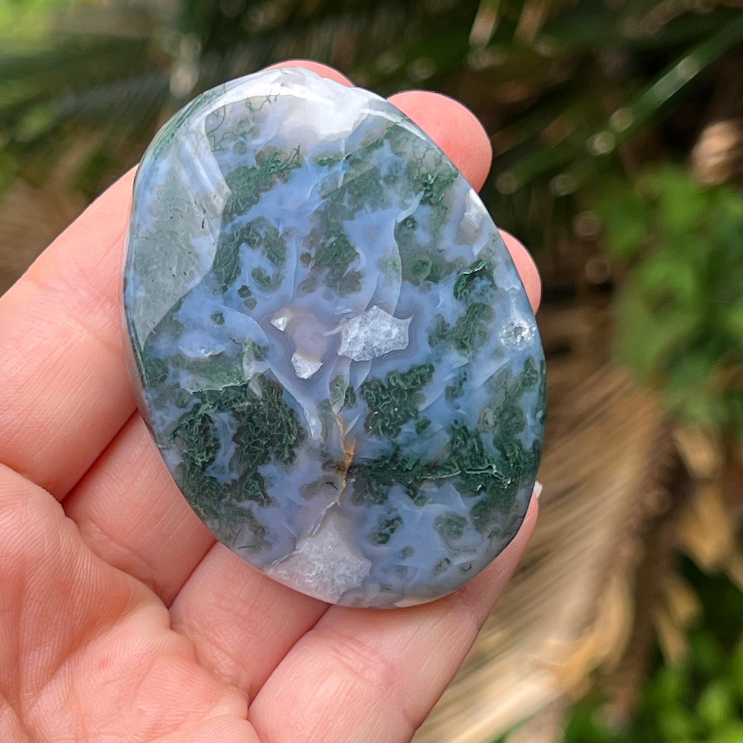 Moss Agate Palm Stone ~ 2