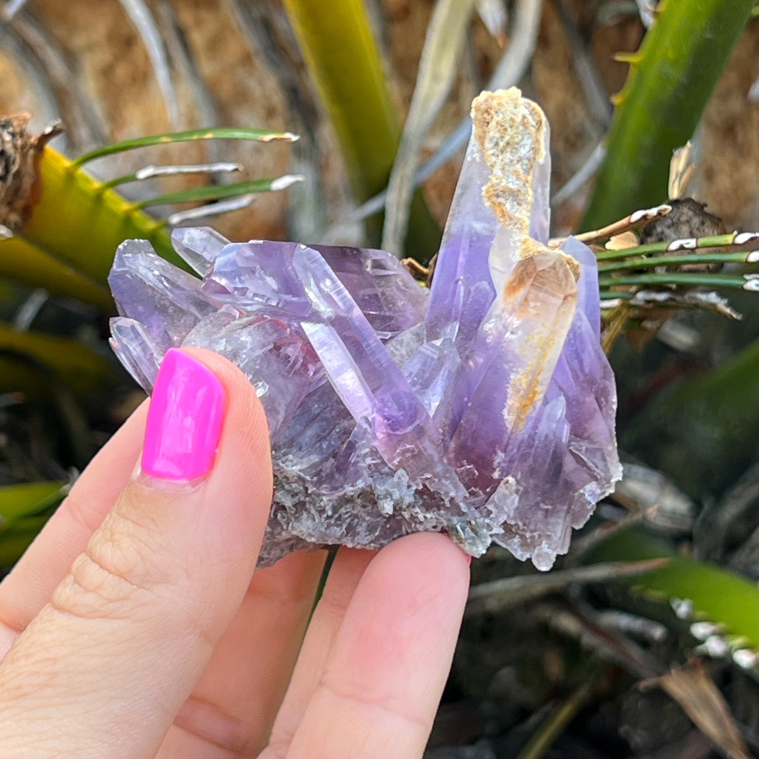 Vera Cruz Amethyst