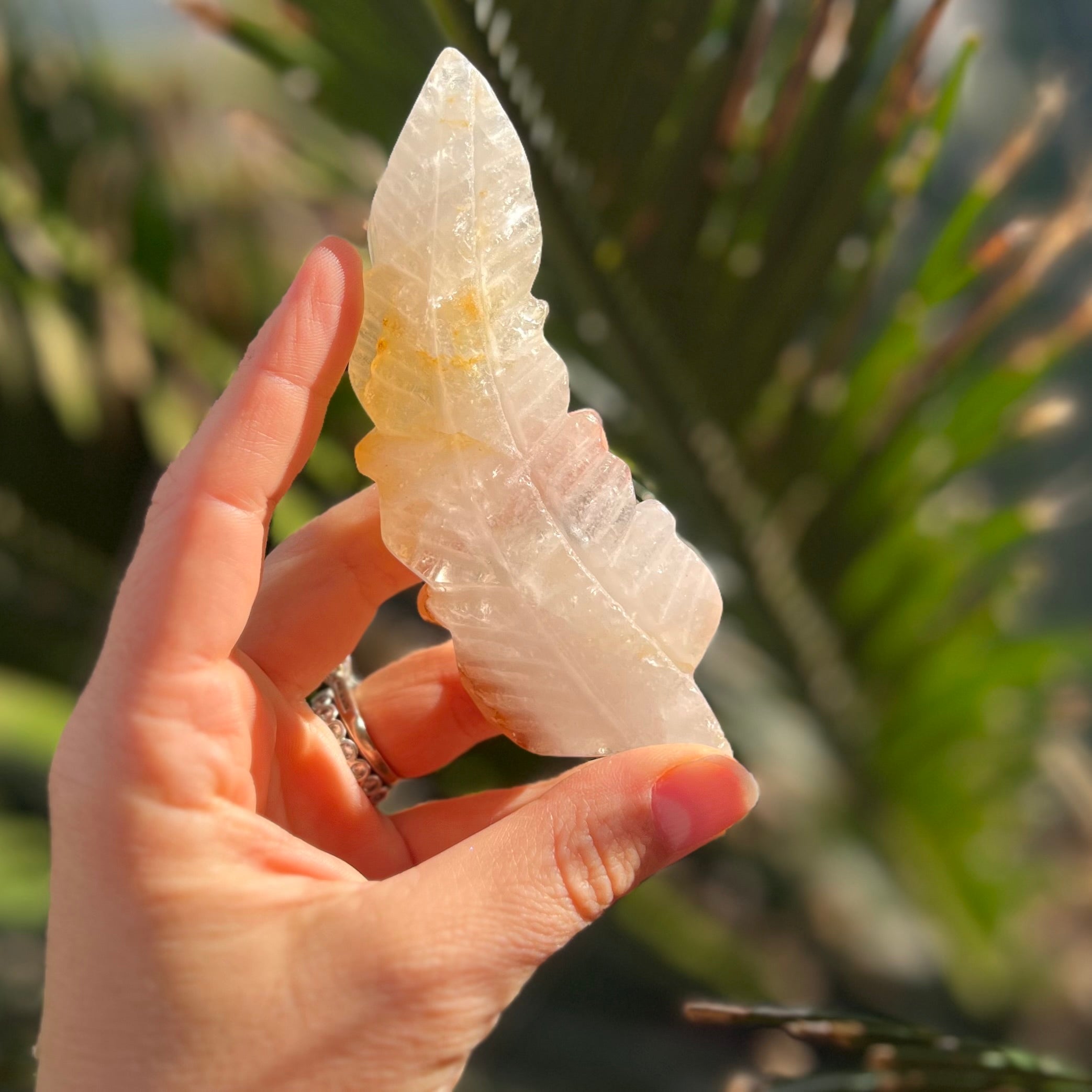 Feather of Divine Healing ~ Golden Healer
