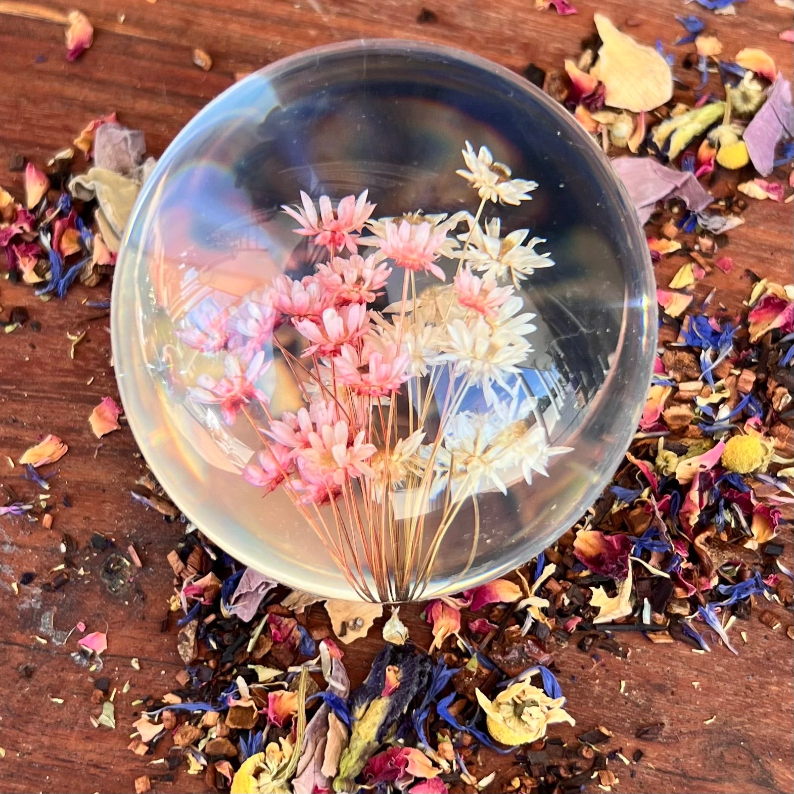 Daisy Dried Flower Sphere