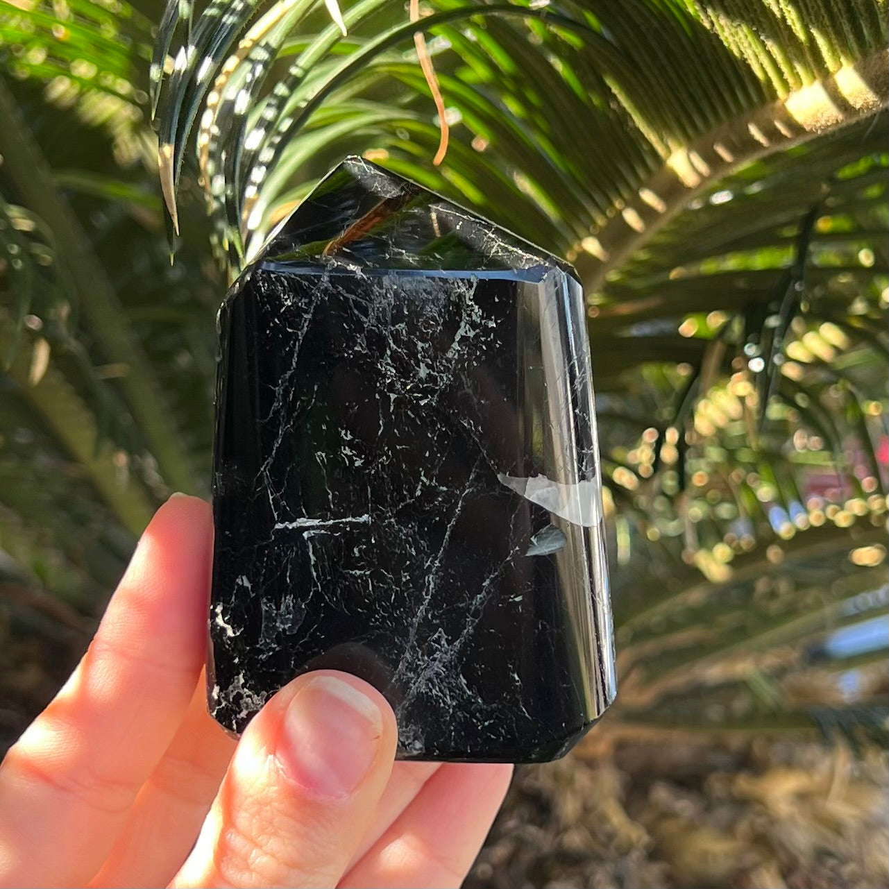 Black Tourmaline Freeform