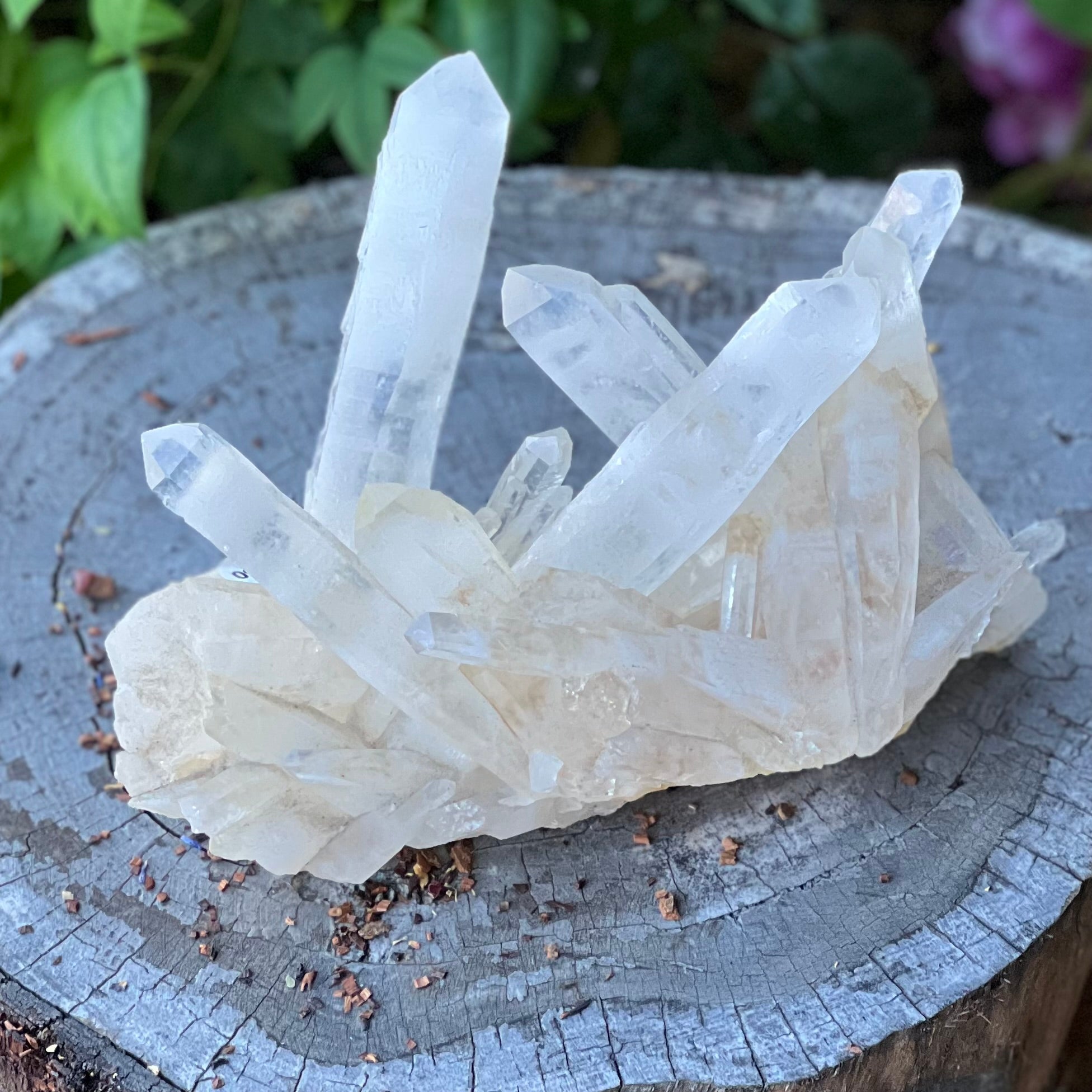 Clear Quartz Raw Cluster