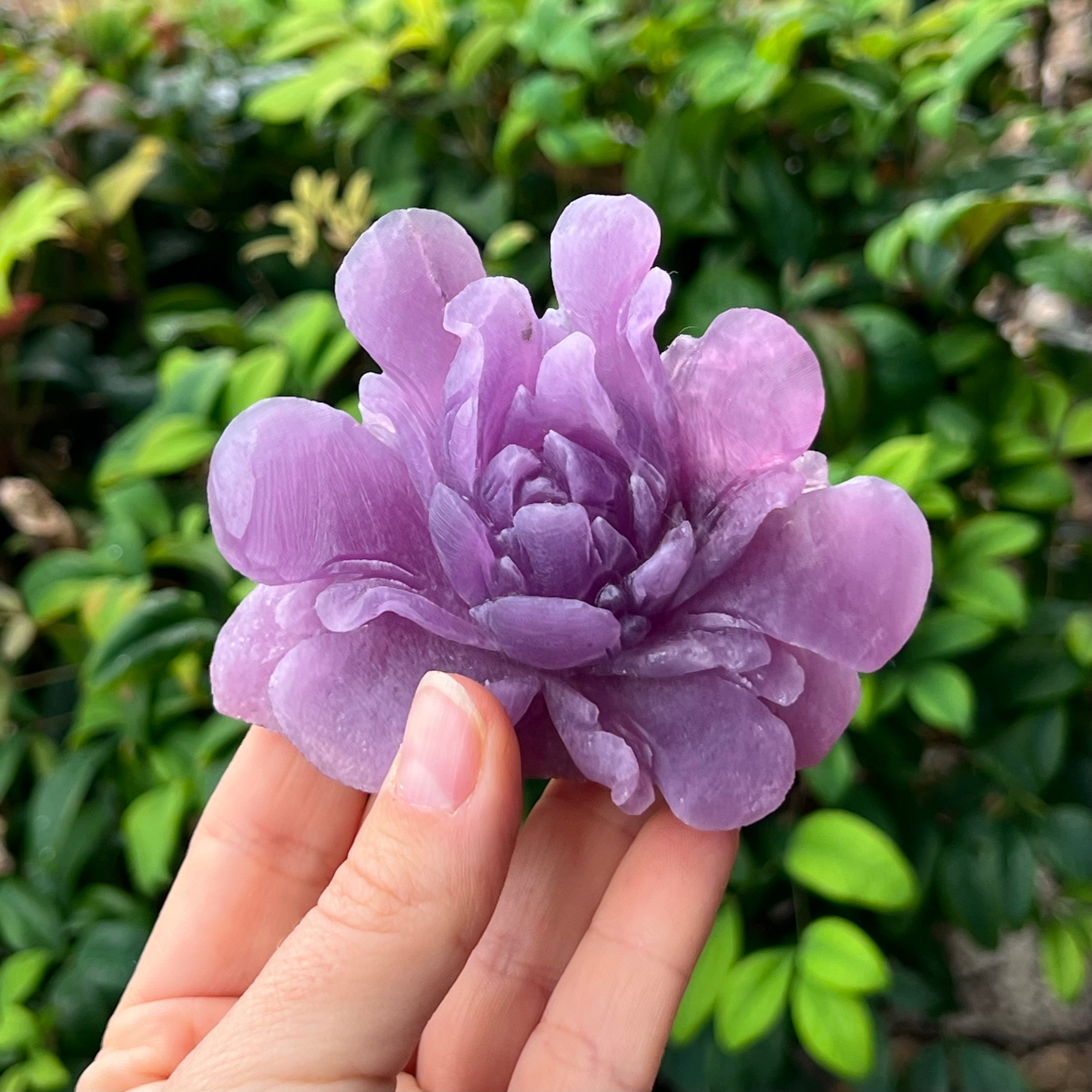 Blooming Flower ~ Lepidolite