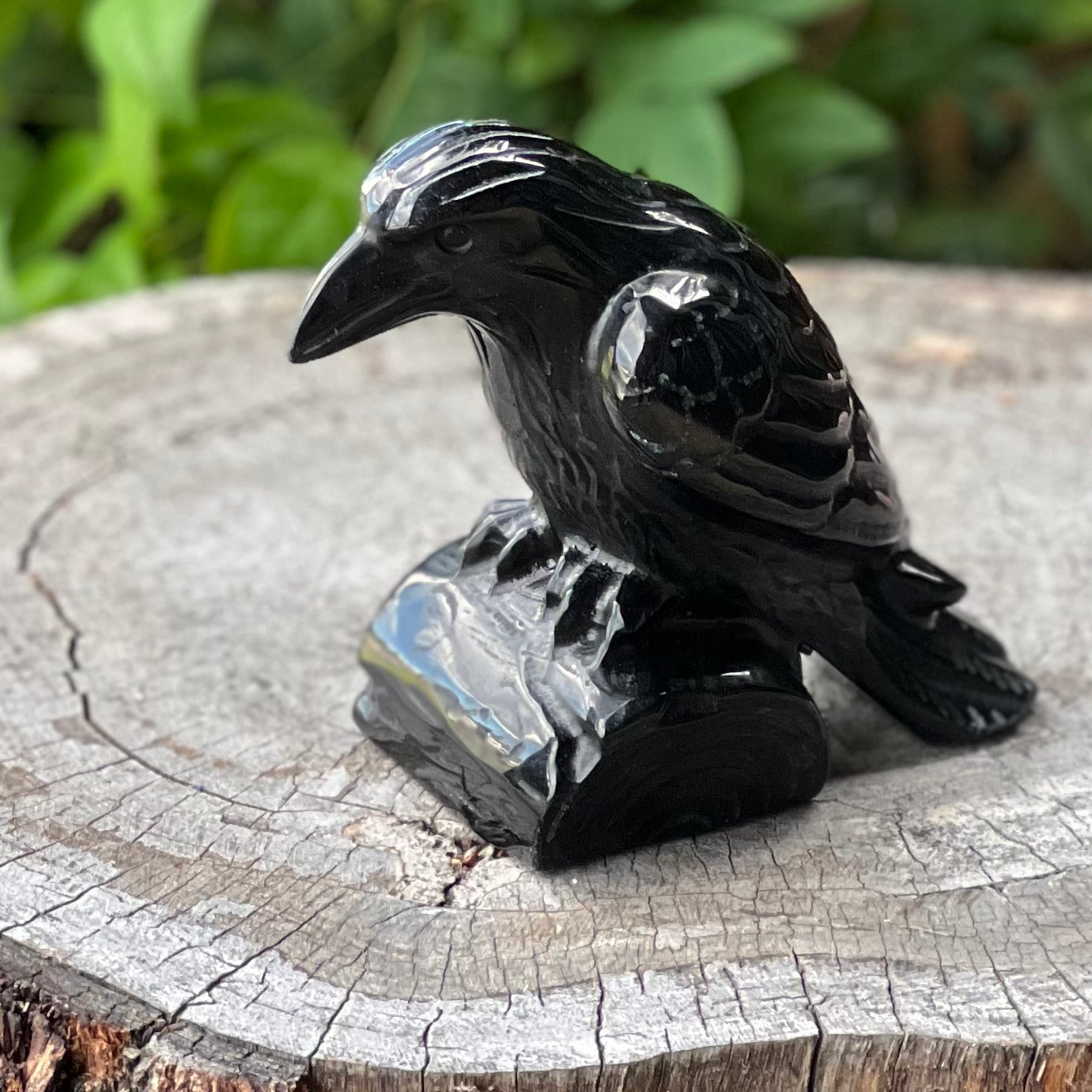 Black Obsidian Raven Carving Large