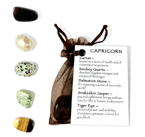 Capricorn Zodiac Tumble Stone Bag