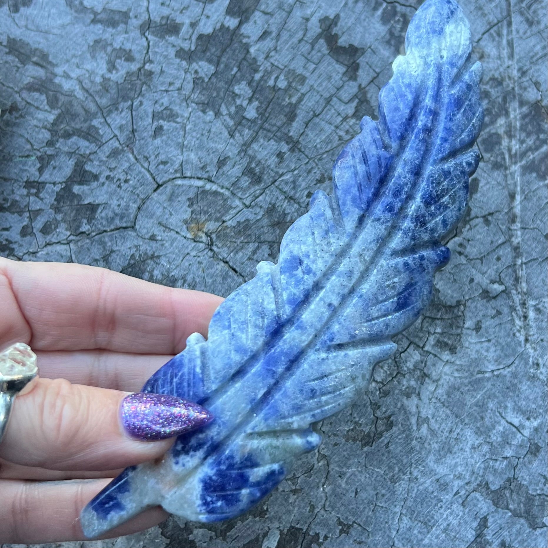 Feather of Intuition & Inner Truth ~ Sodalite