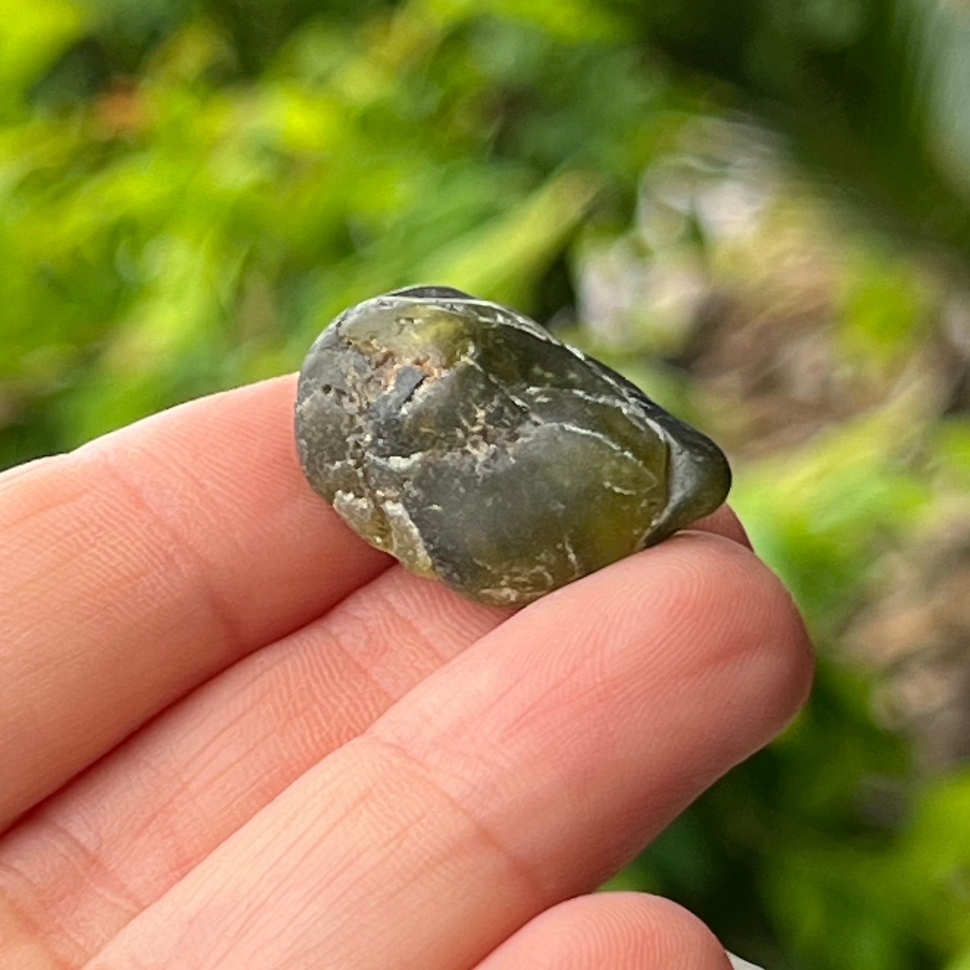 Peridot ~ Specialty Boxed Crystal