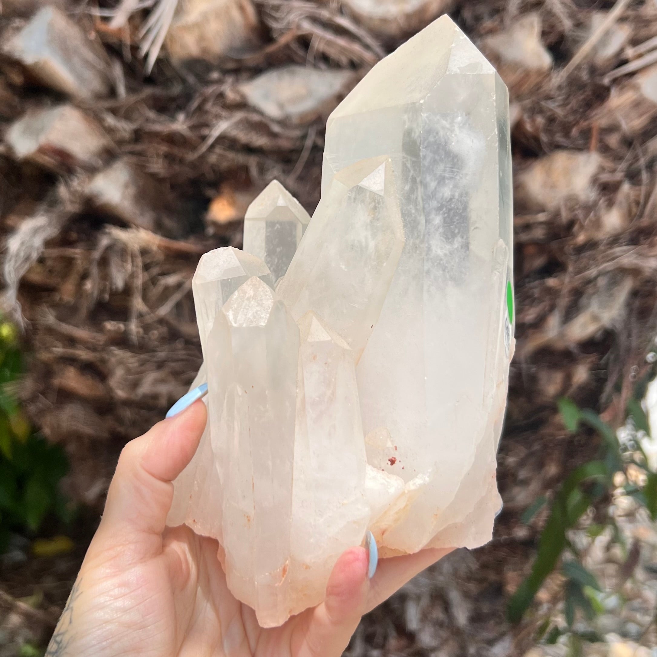 Raw Clear Quartz Natural Cluster of Points