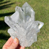 Clear Quartz Family Cluster