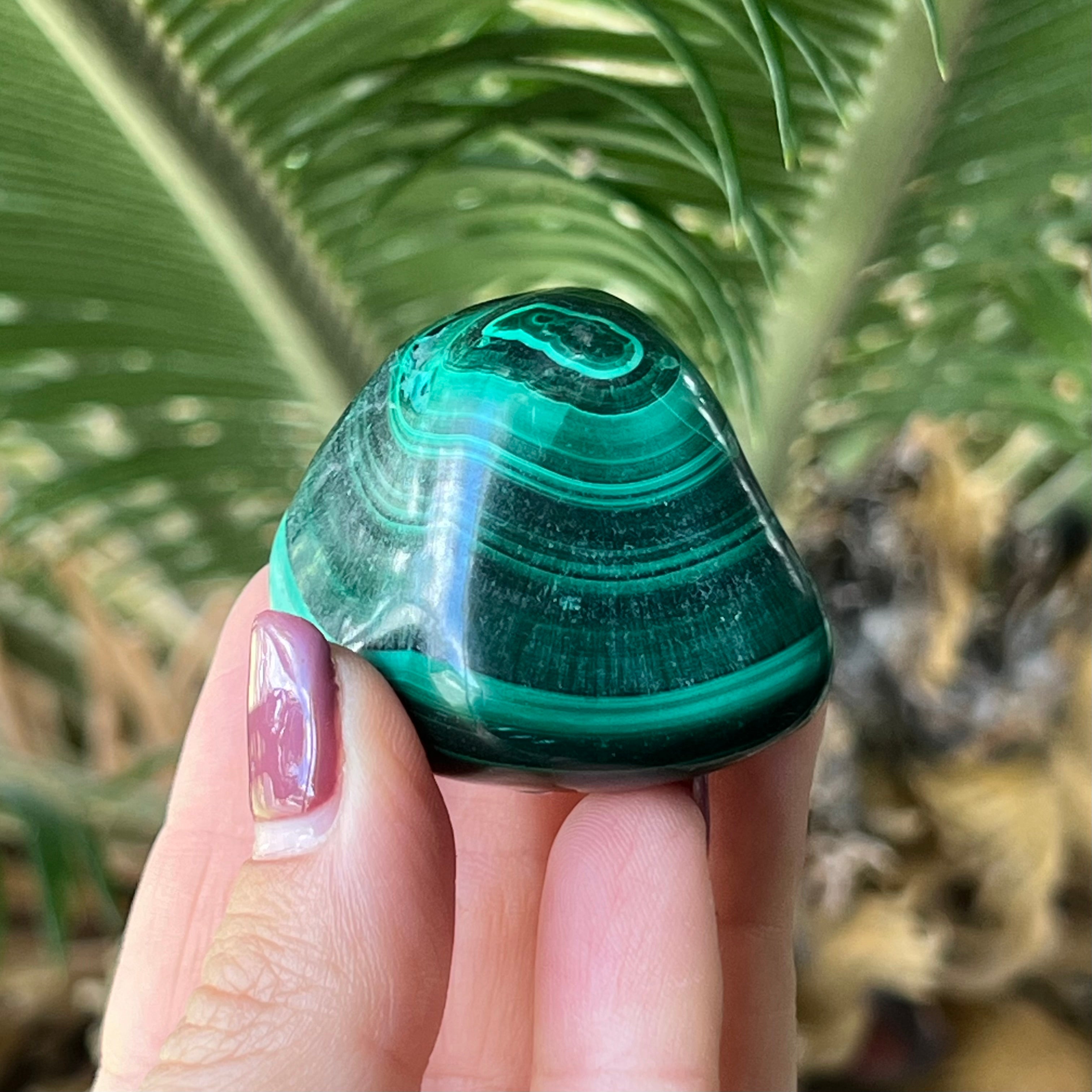 Malachite ~ Specialty Boxed Crystal