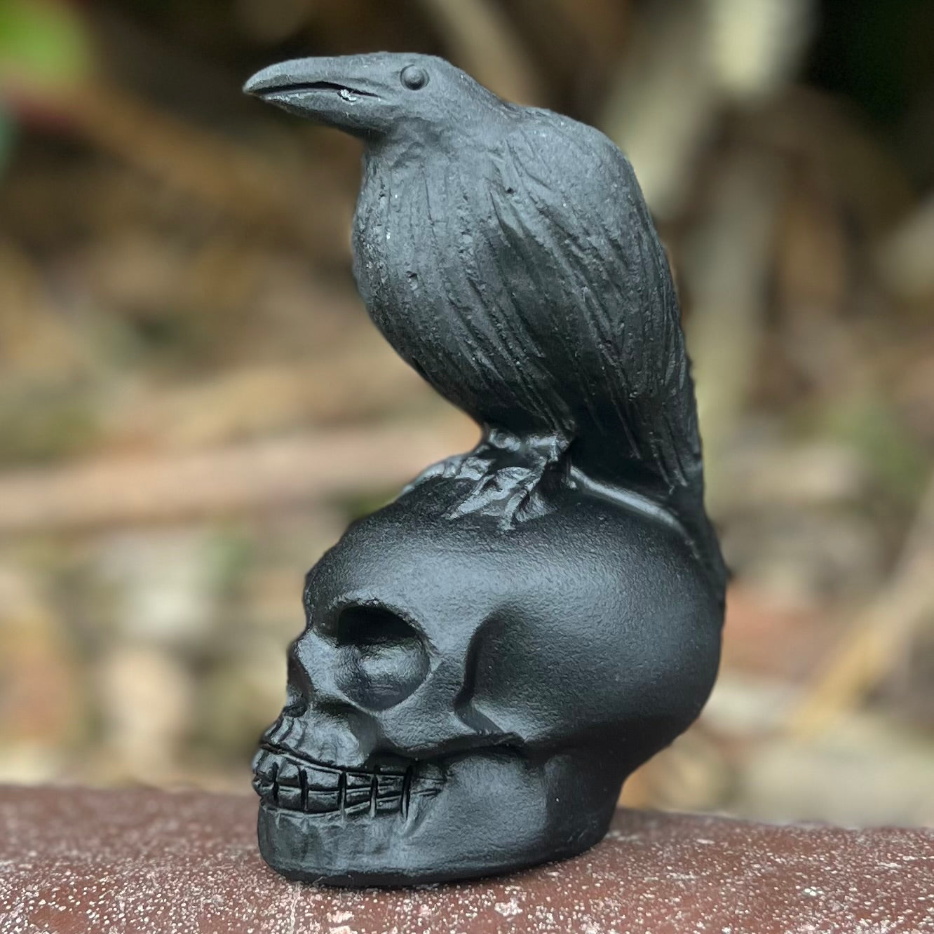 Black Obsidian Raven on Skull Carving