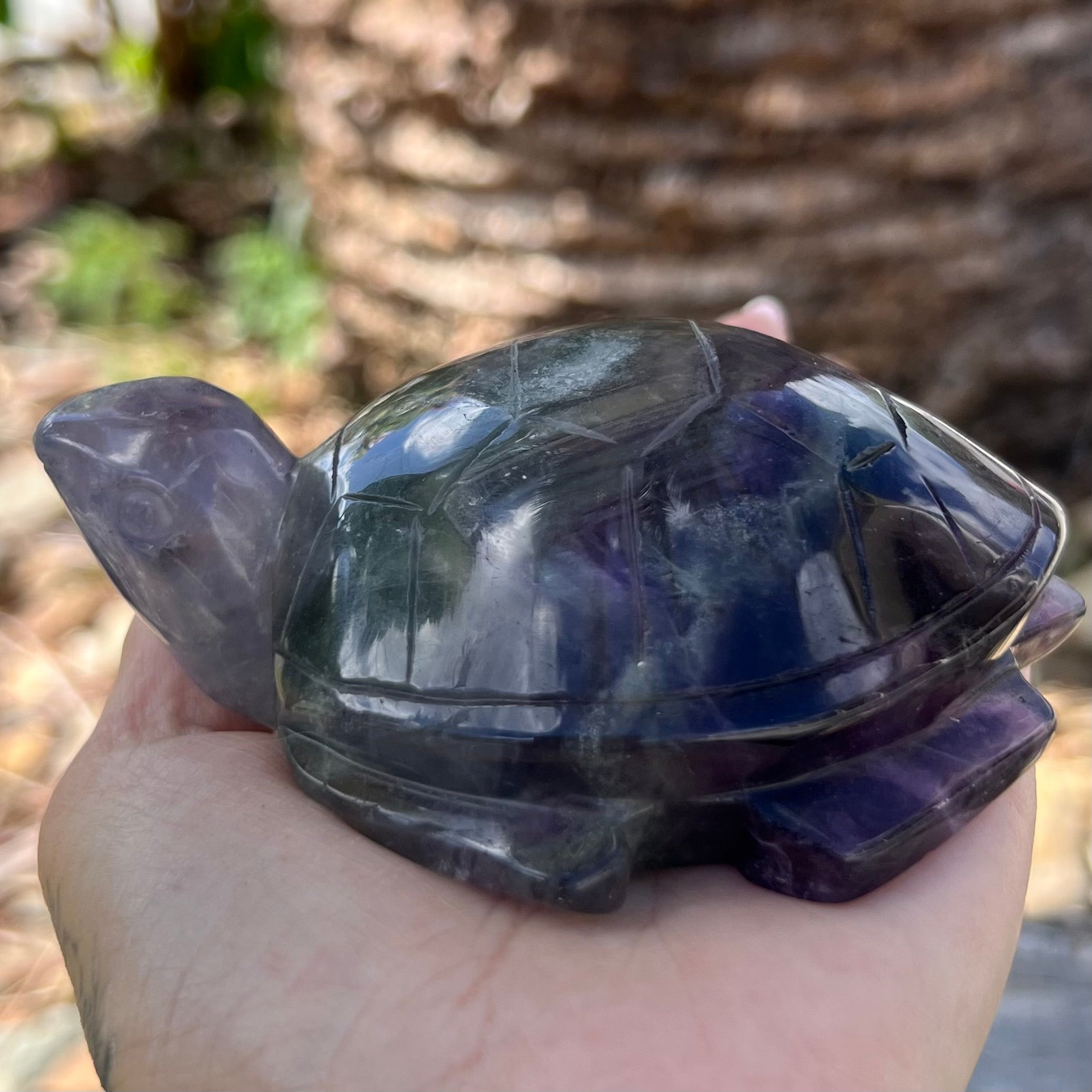 Rainbow Fluorite Turtle Carving