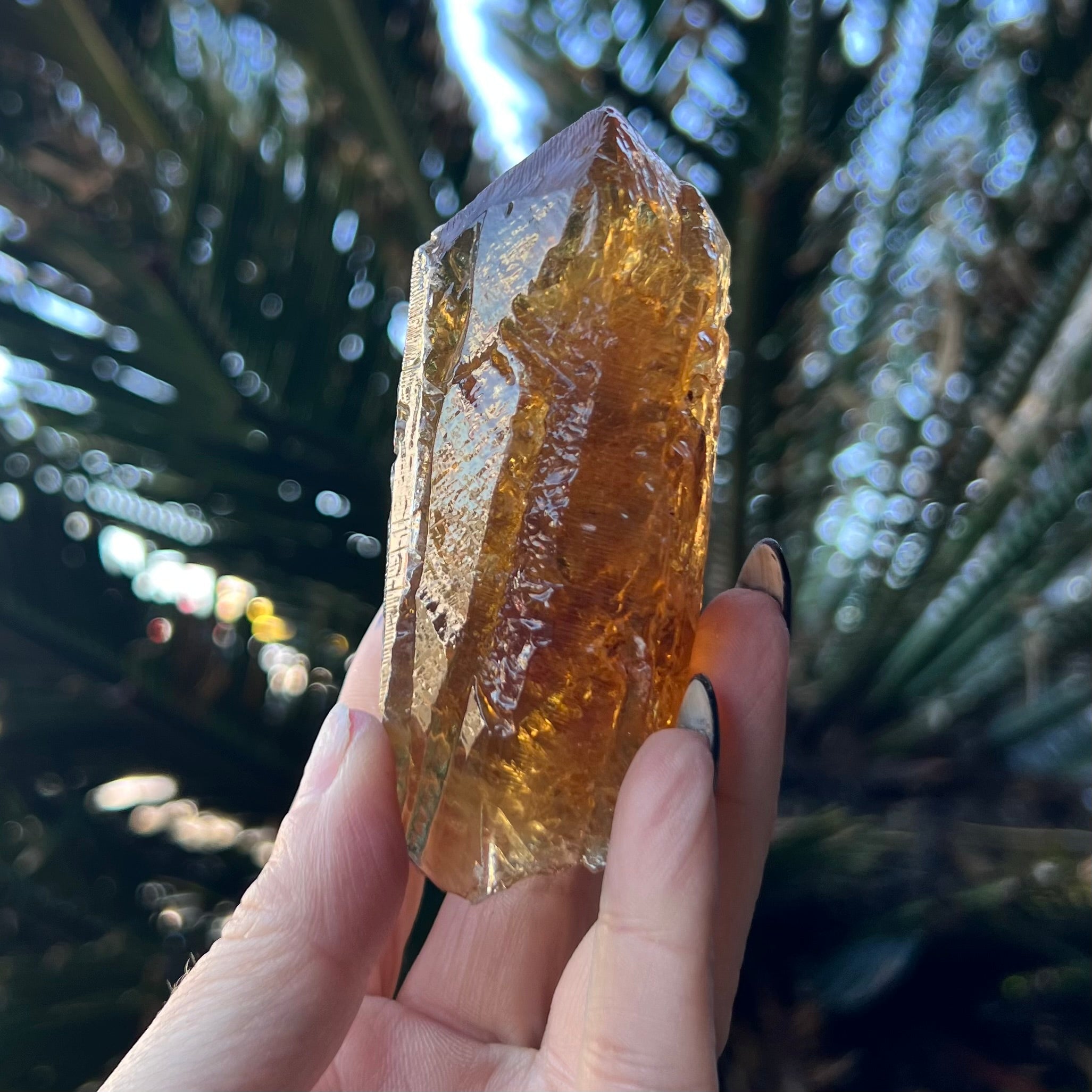 Amber with Quartz Raw Specimen
