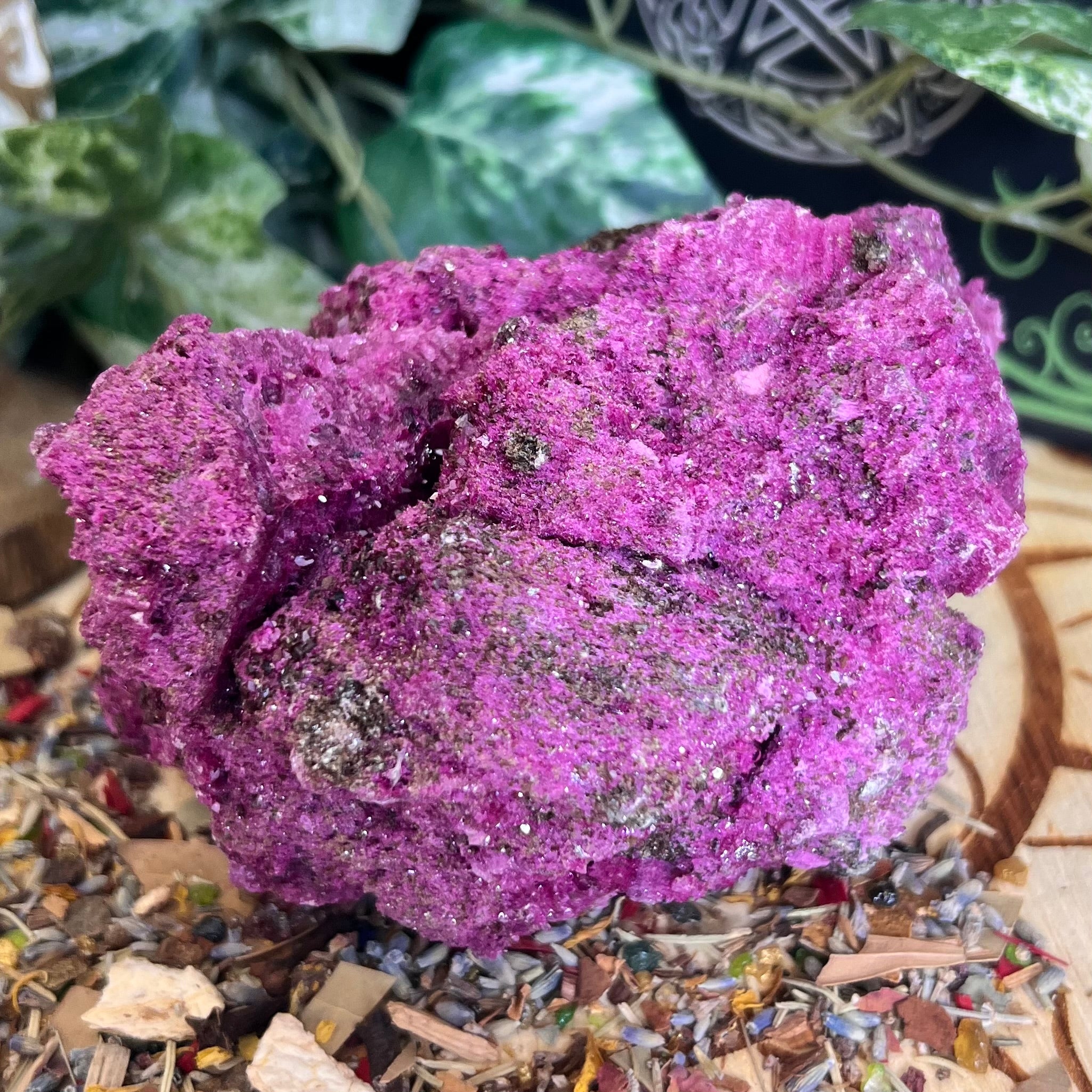Glorious Ruby with Pyrite Specimen
