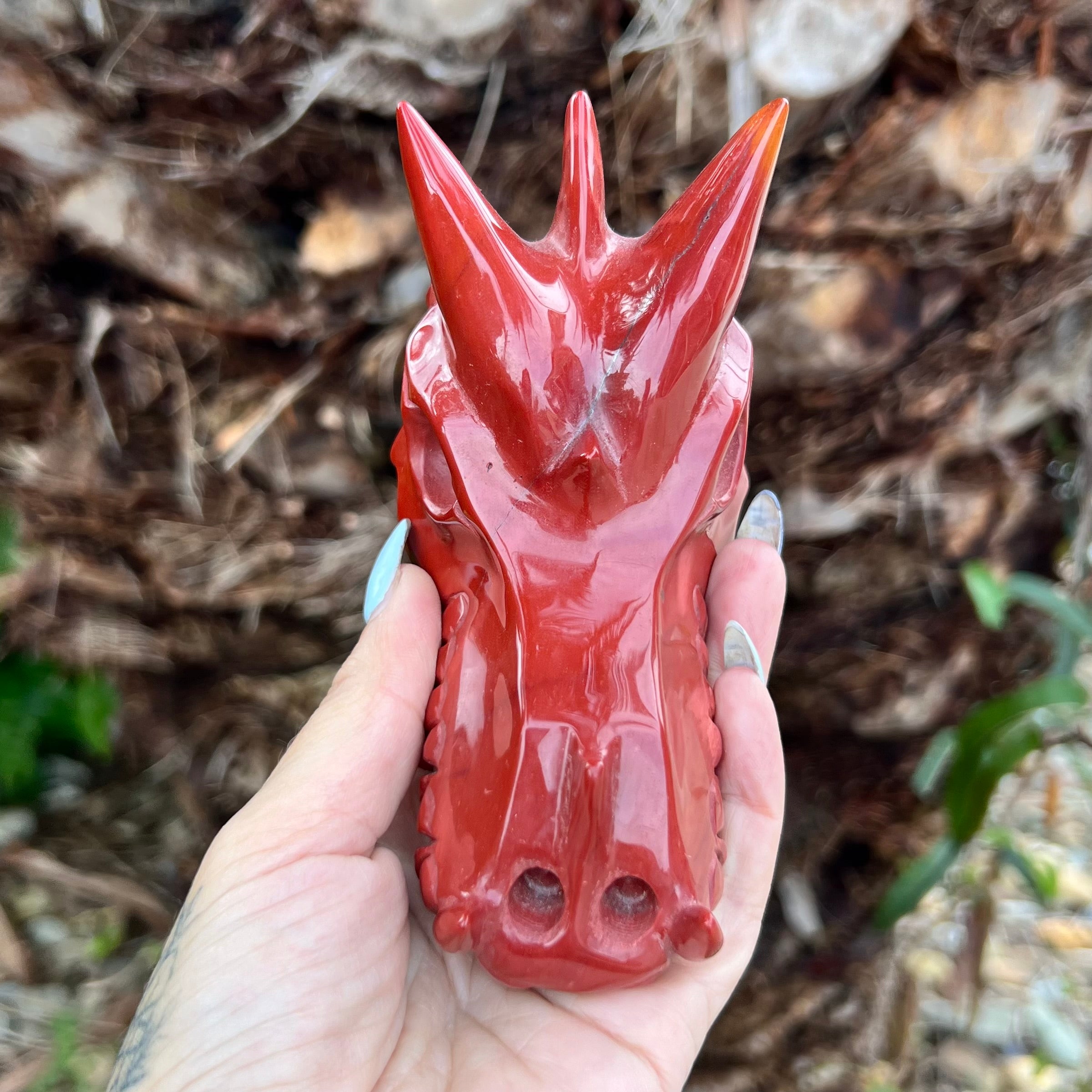 Red Jasper ~ Dragon Head