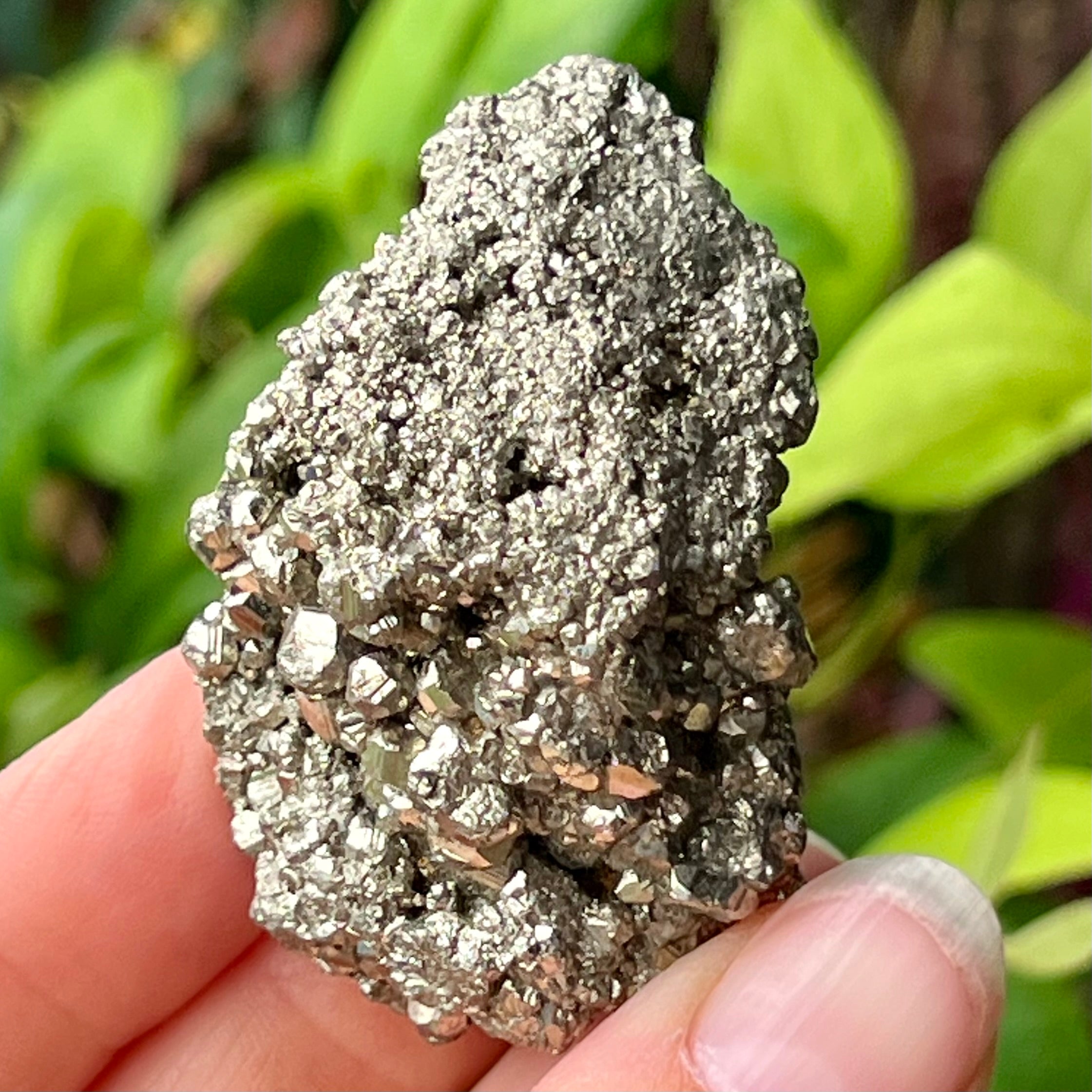 Pyrite Specimen ~ Specialty Boxed Crystal (2)