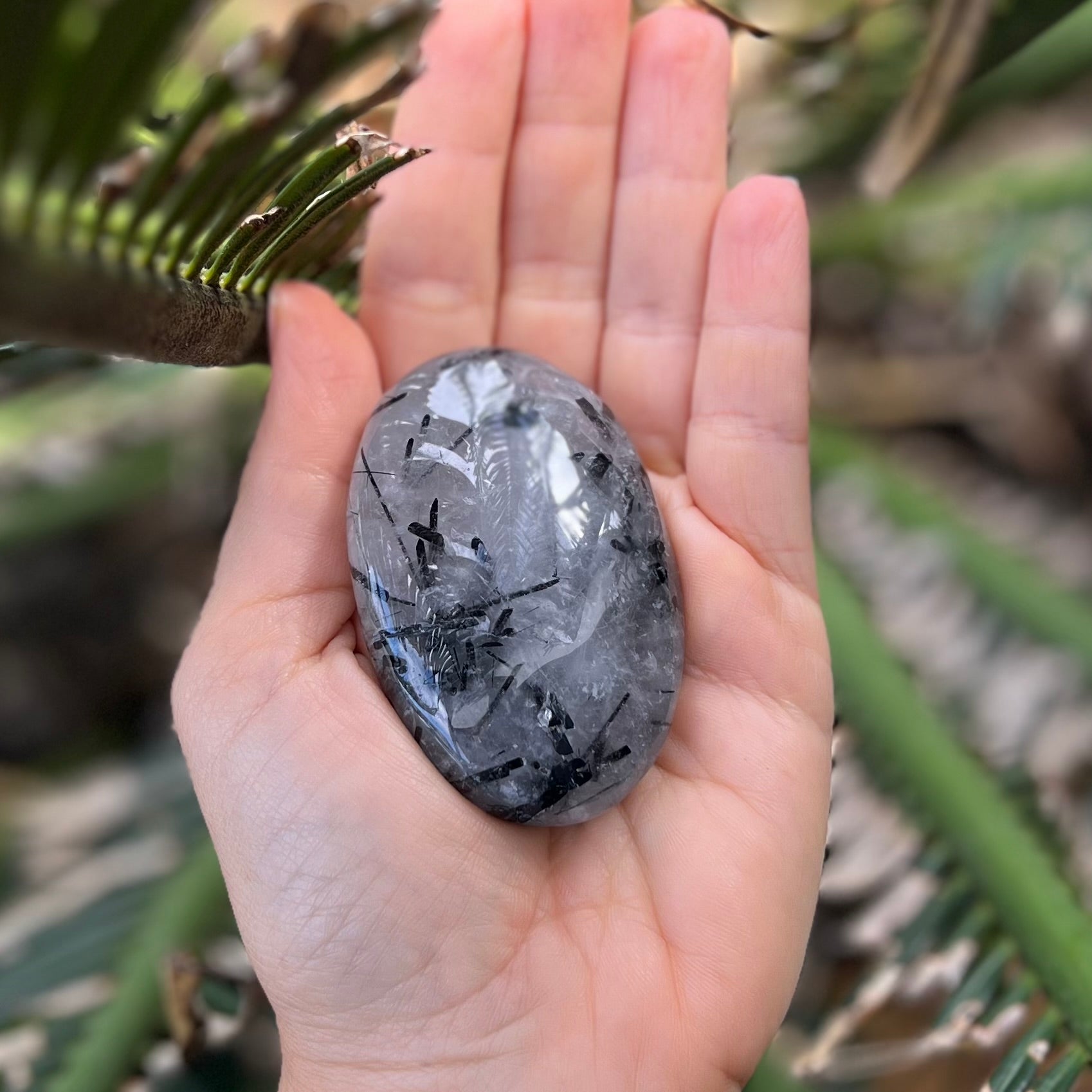 Black Tourmaline in Quartz Palm Stone