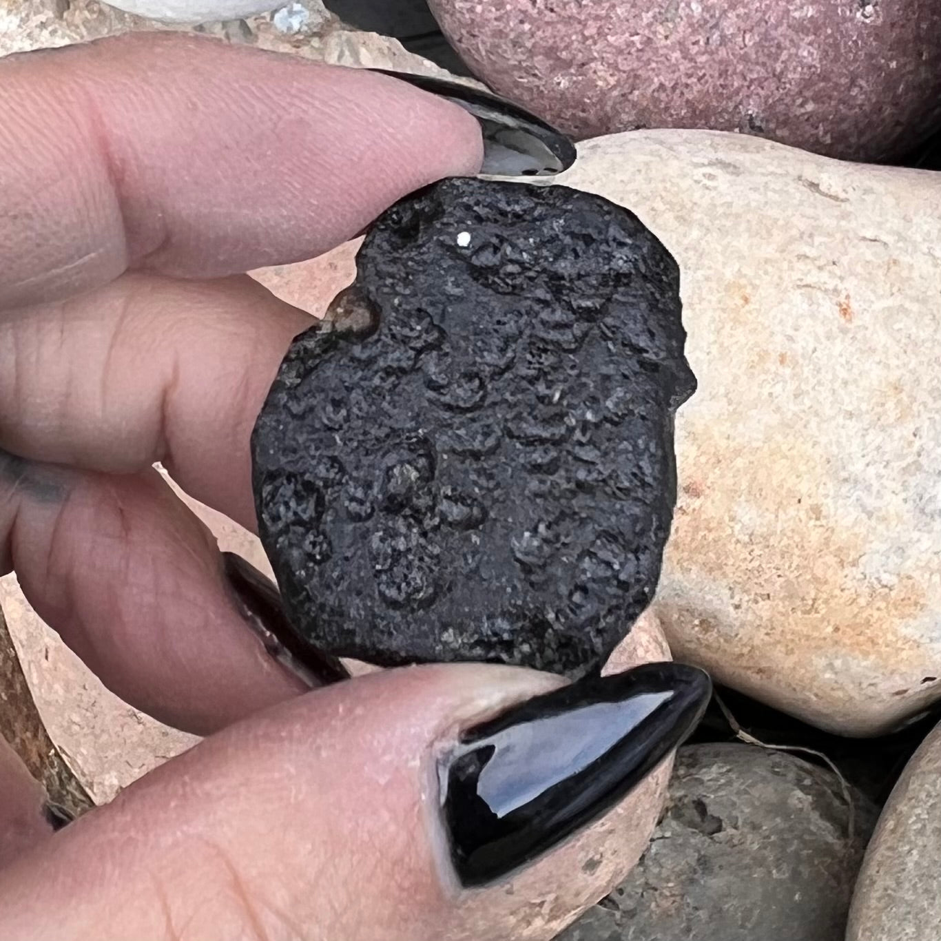 Tektite Specimen
