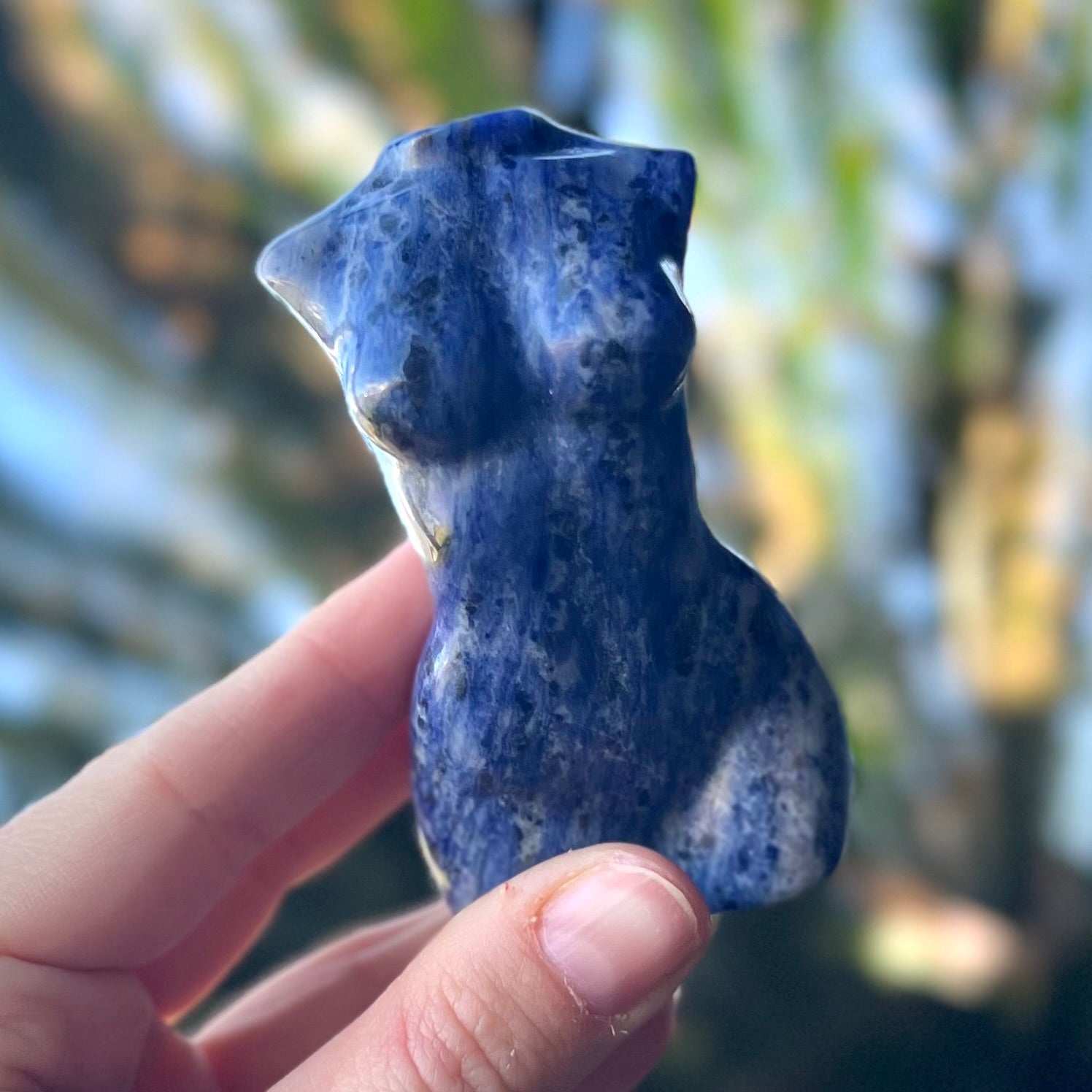 Sodalite Woman Lady Body Carving ~ 1