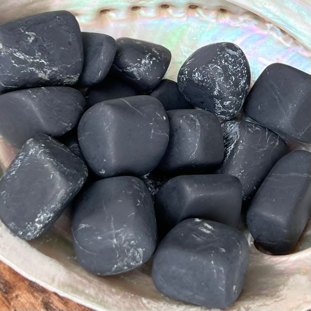 Shungite Tumble Stone