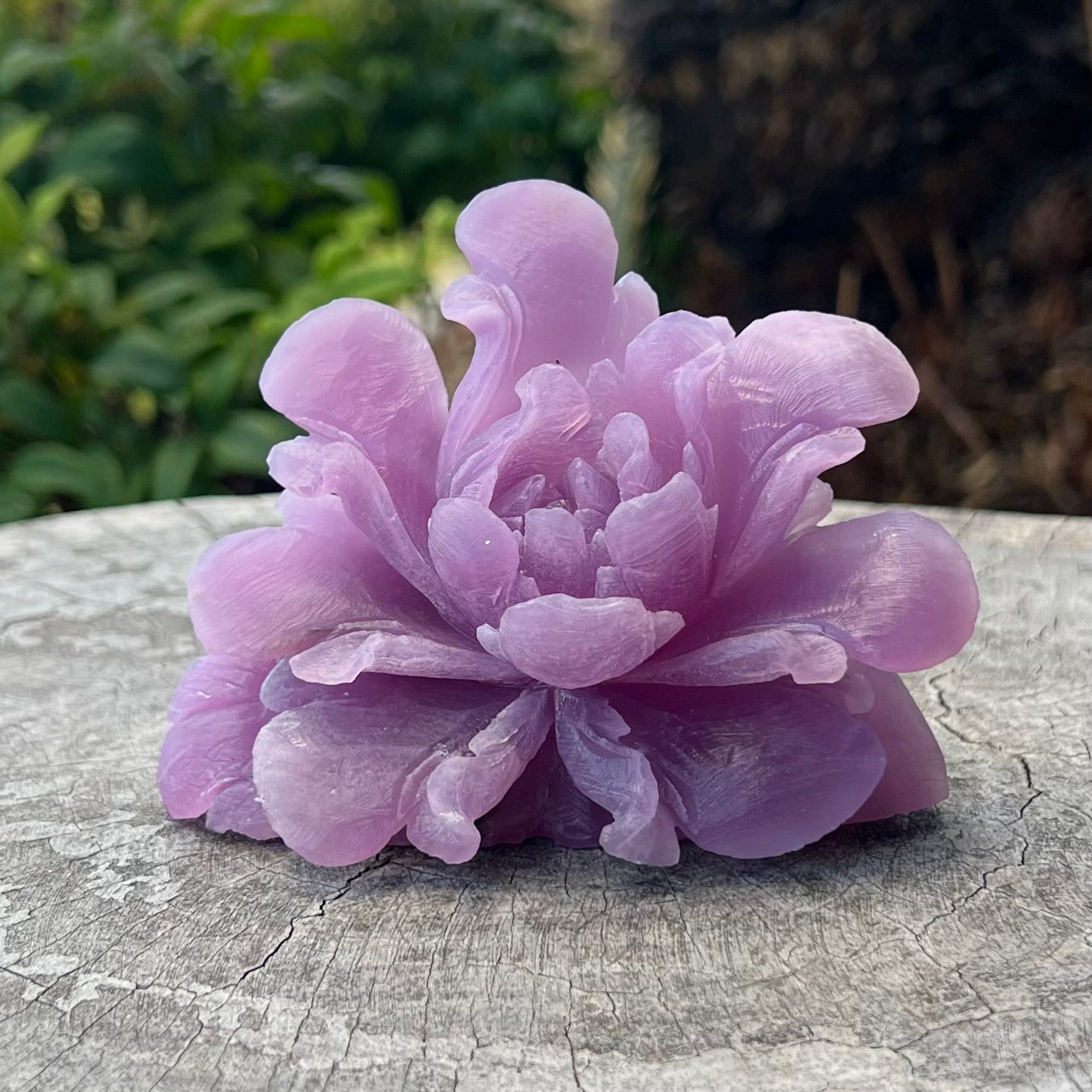 Blooming Flower ~ Lepidolite