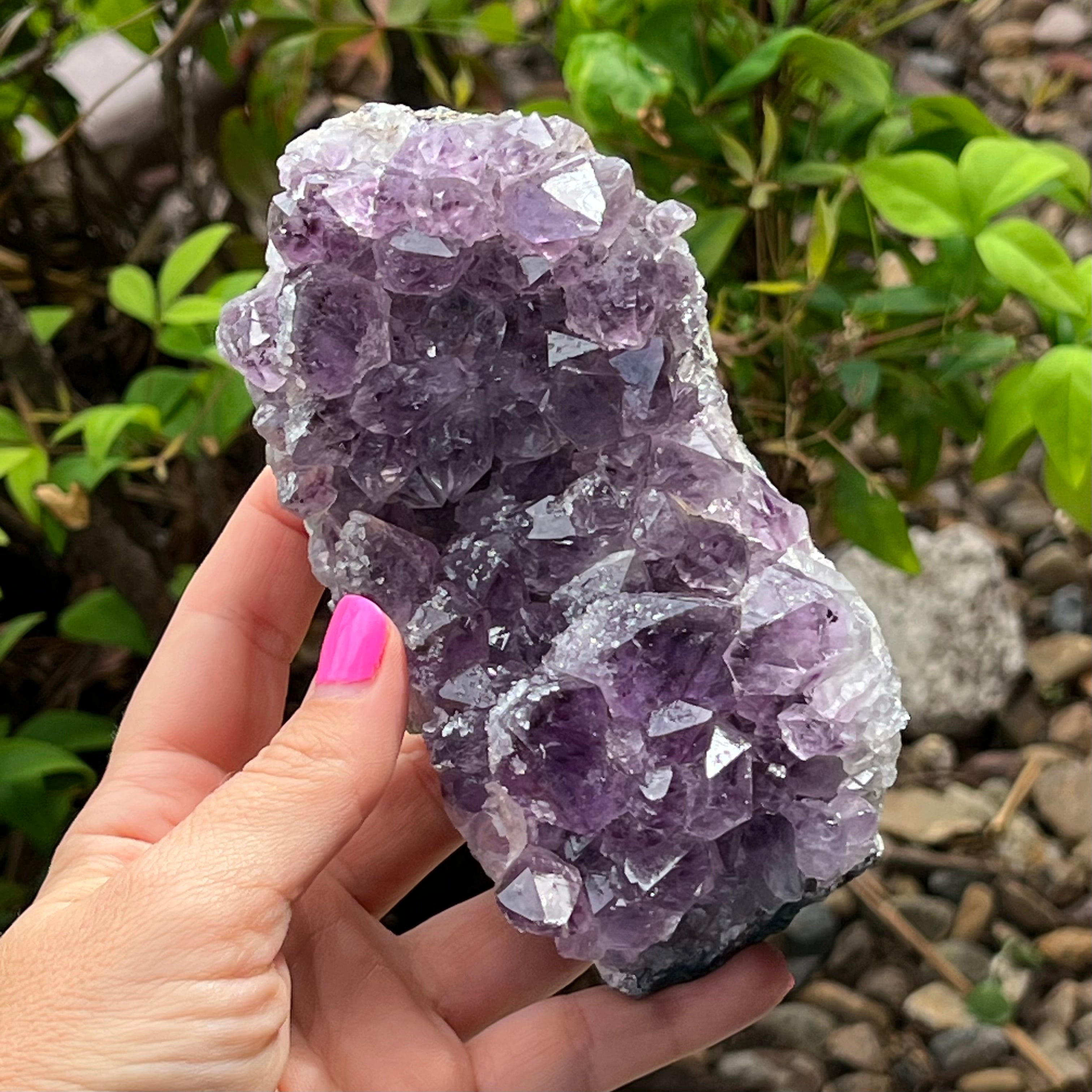 Amethyst Cluster