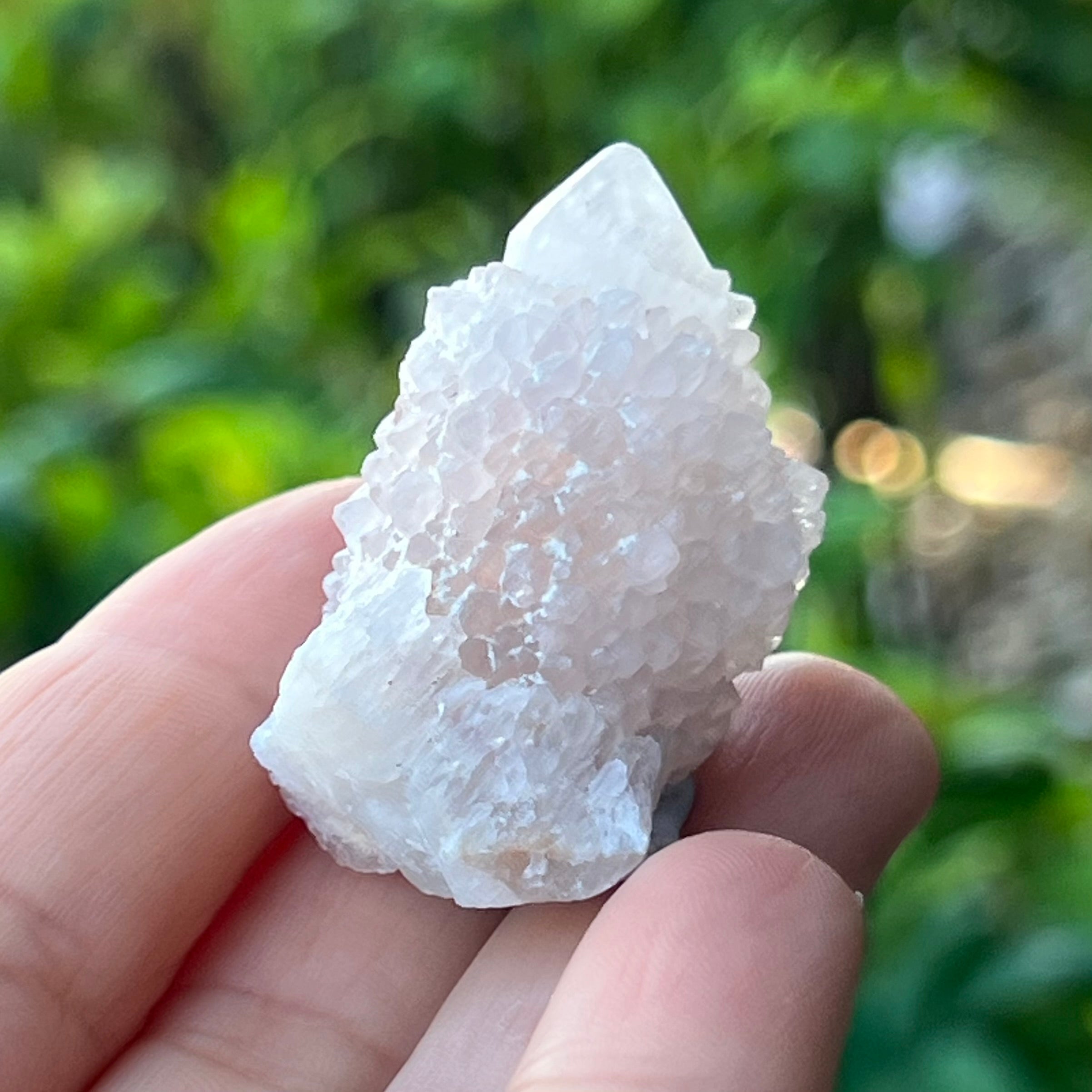 Spirit Quartz Point ~ Specialty Boxed Crystal