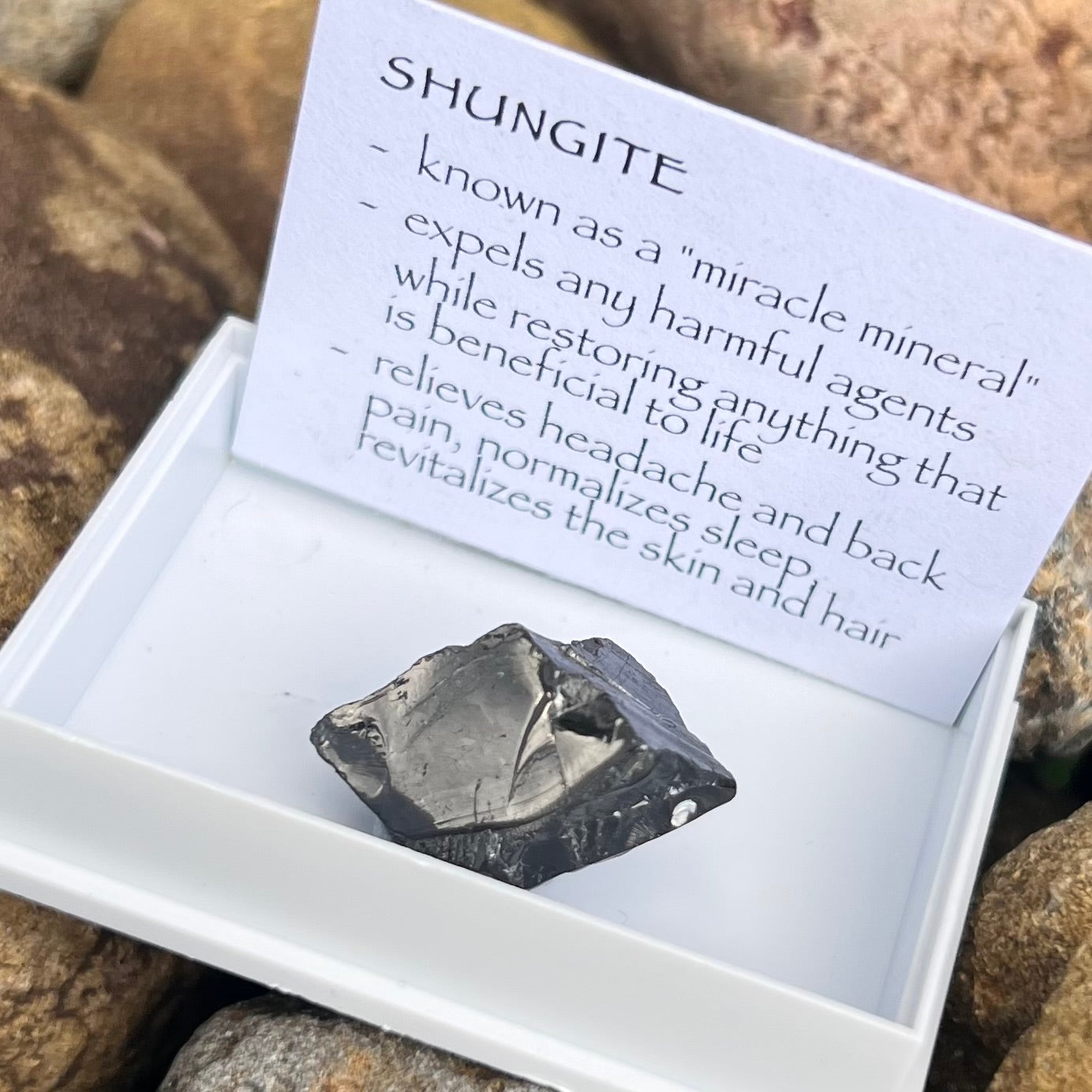 Noble Shungite ~ Specialty Boxed Crystal