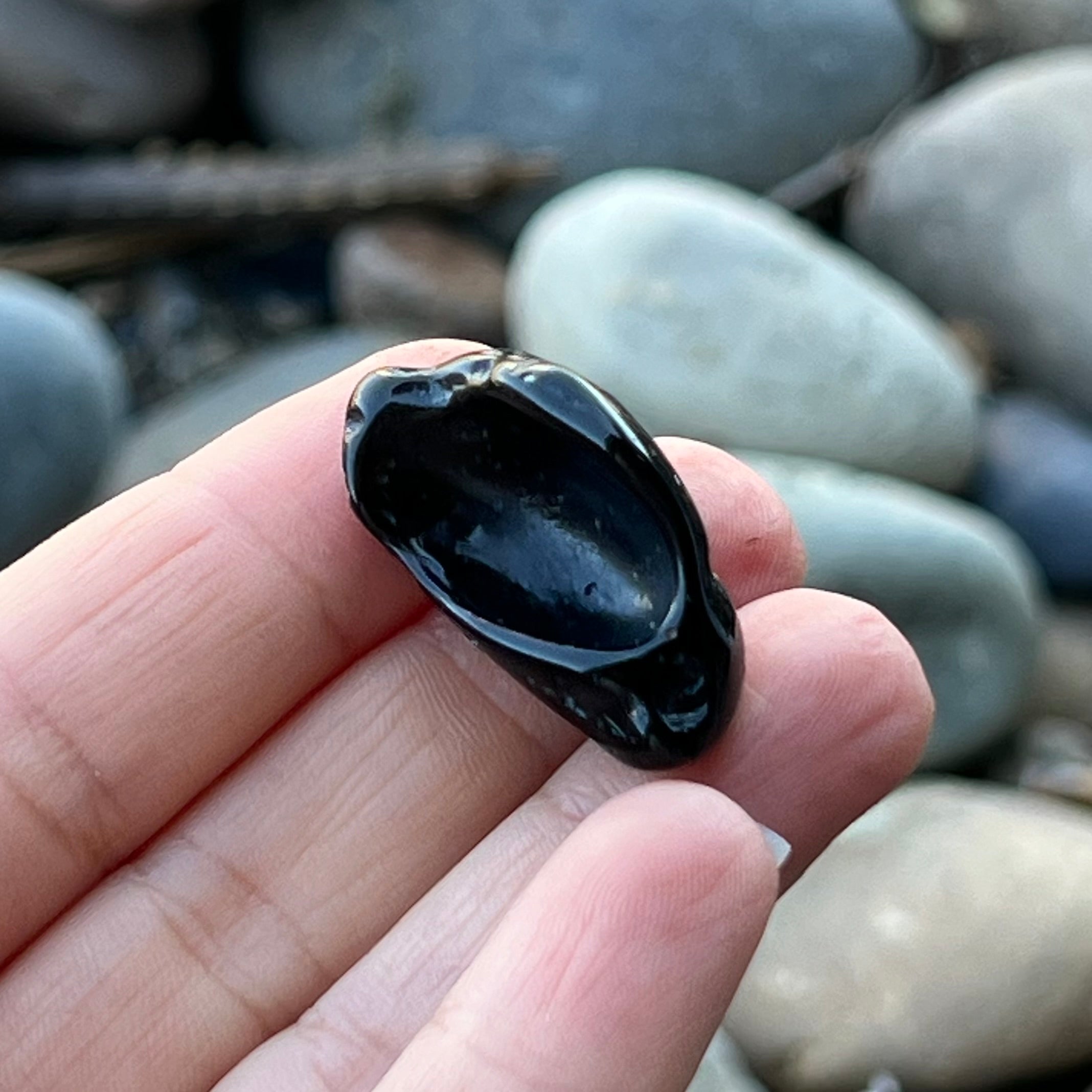 Tektite ~ Specialty Boxed Crystal