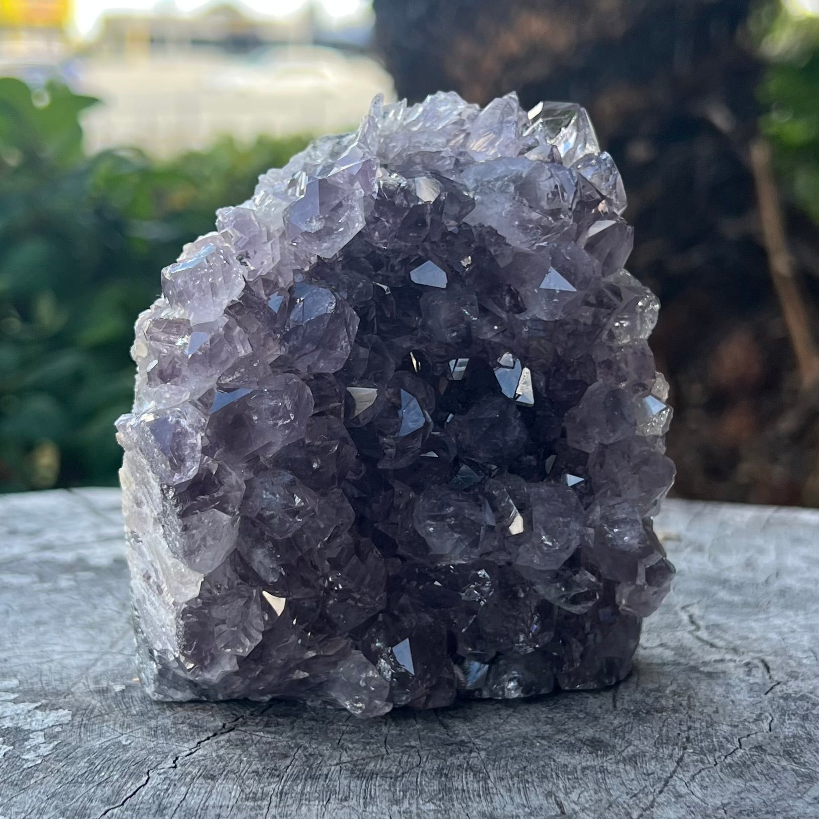 Amethyst Cluster